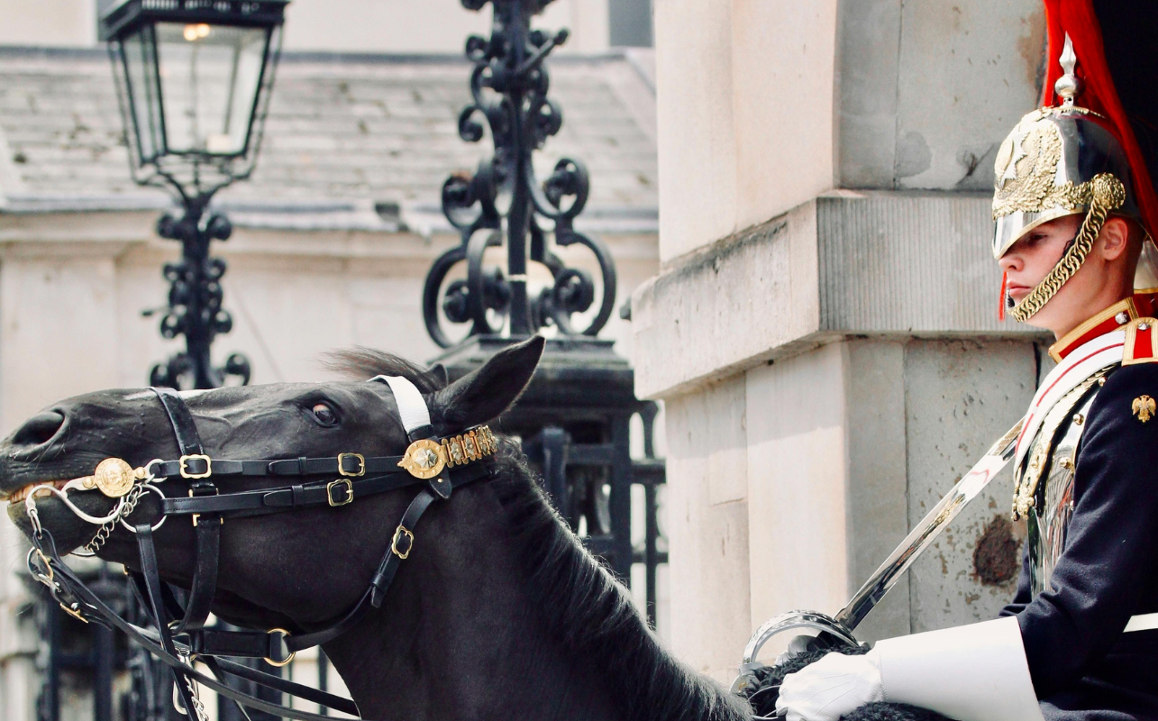 Horseguard at the Changing of the Guard in London at Buckingham Palace