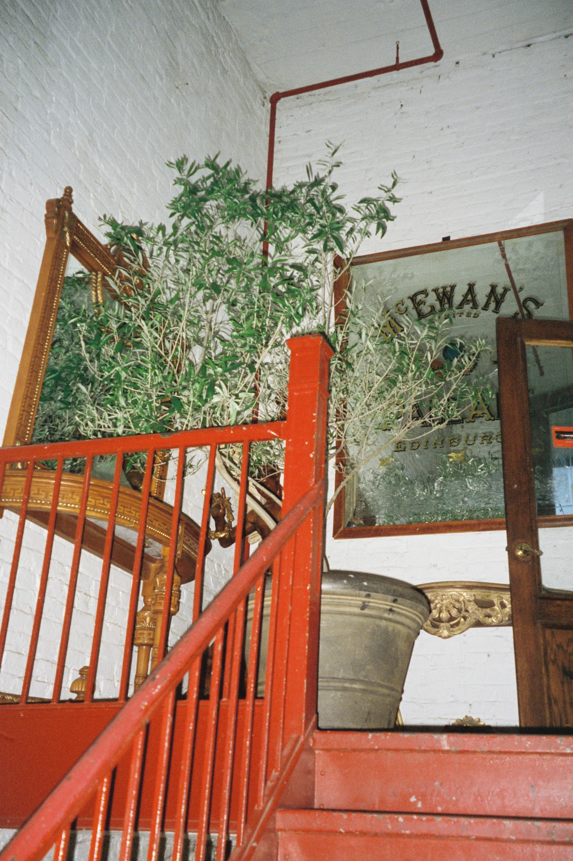 IMG_7869.JPG