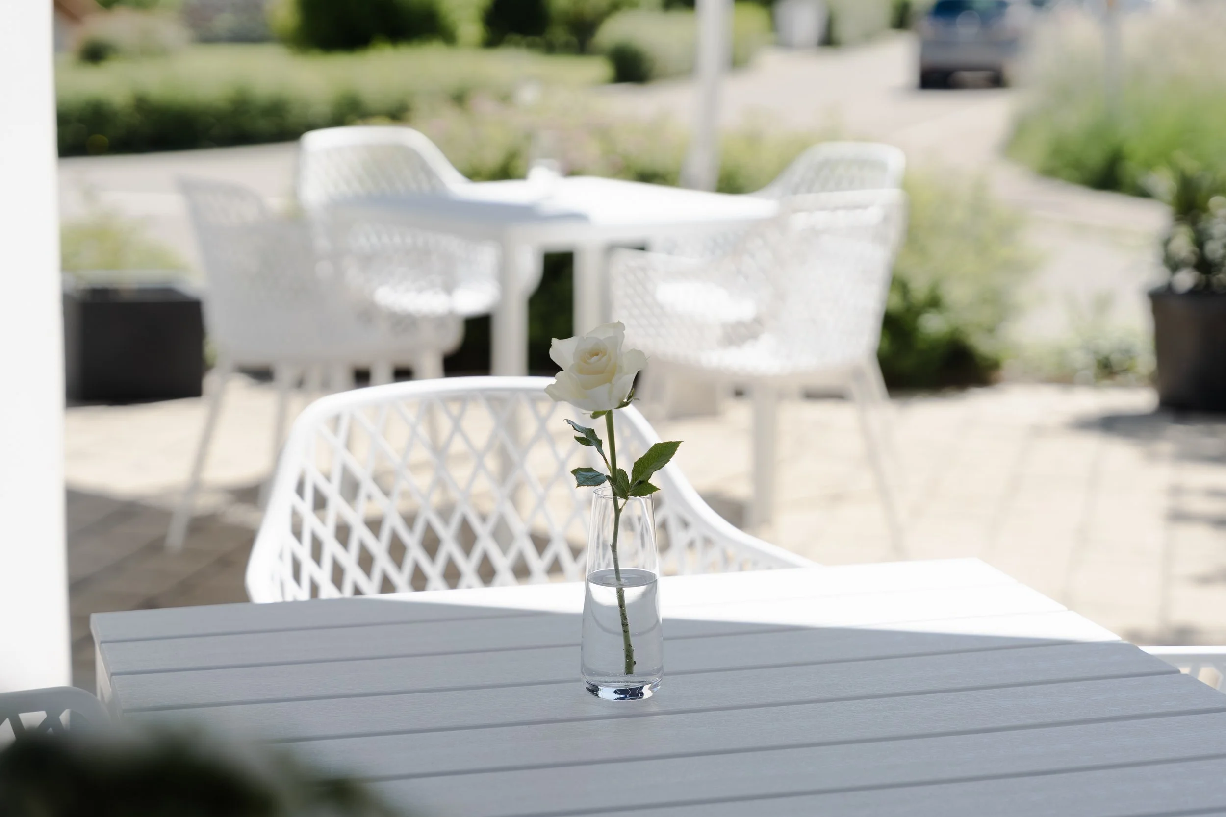 Weiße Vase mit einzelnen weißen Rosen auf einem weißen Tisch im Außenbereich. Hintergrund unscharf mit Garten und Fahrzeug.
