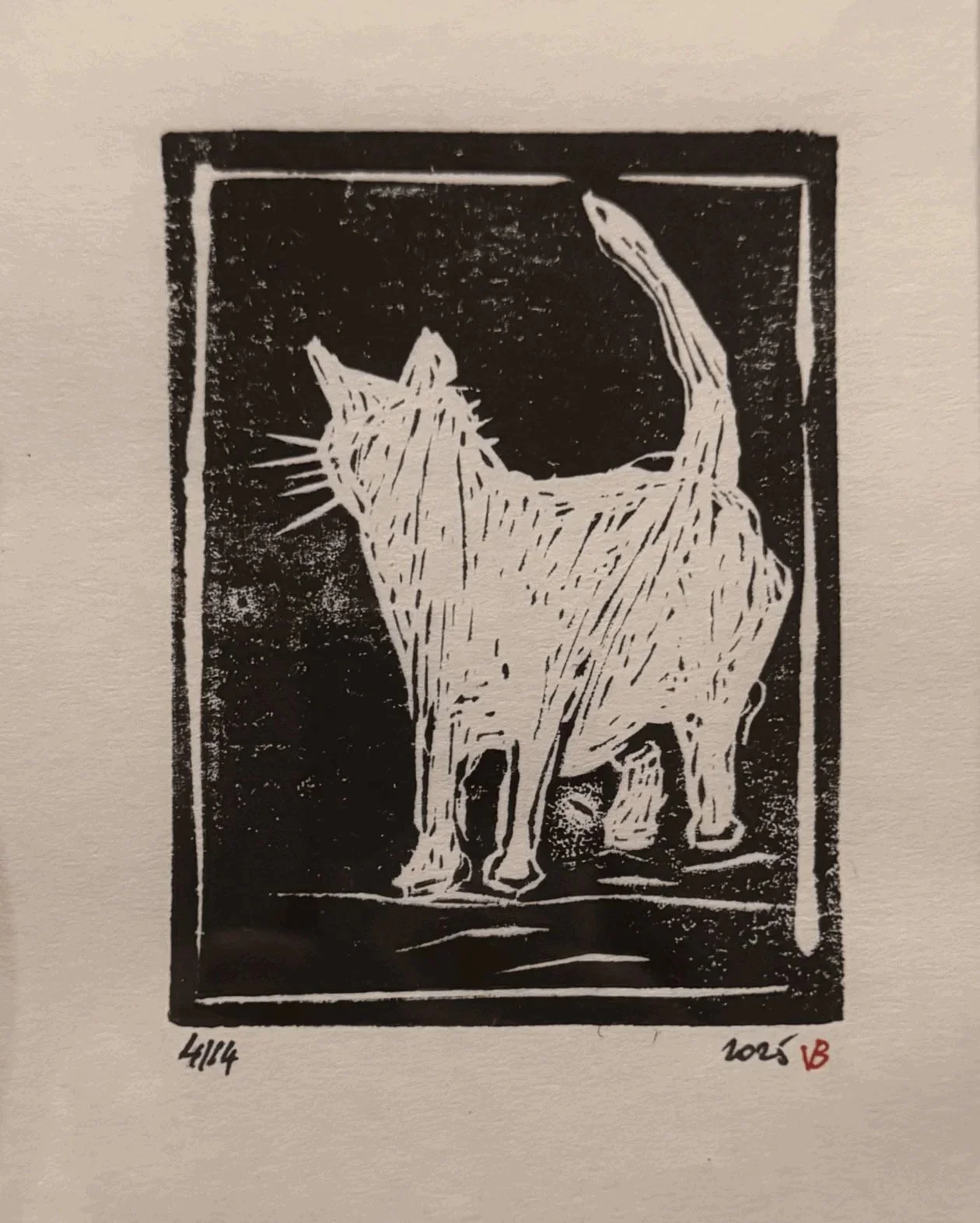 The cat (Le premier)