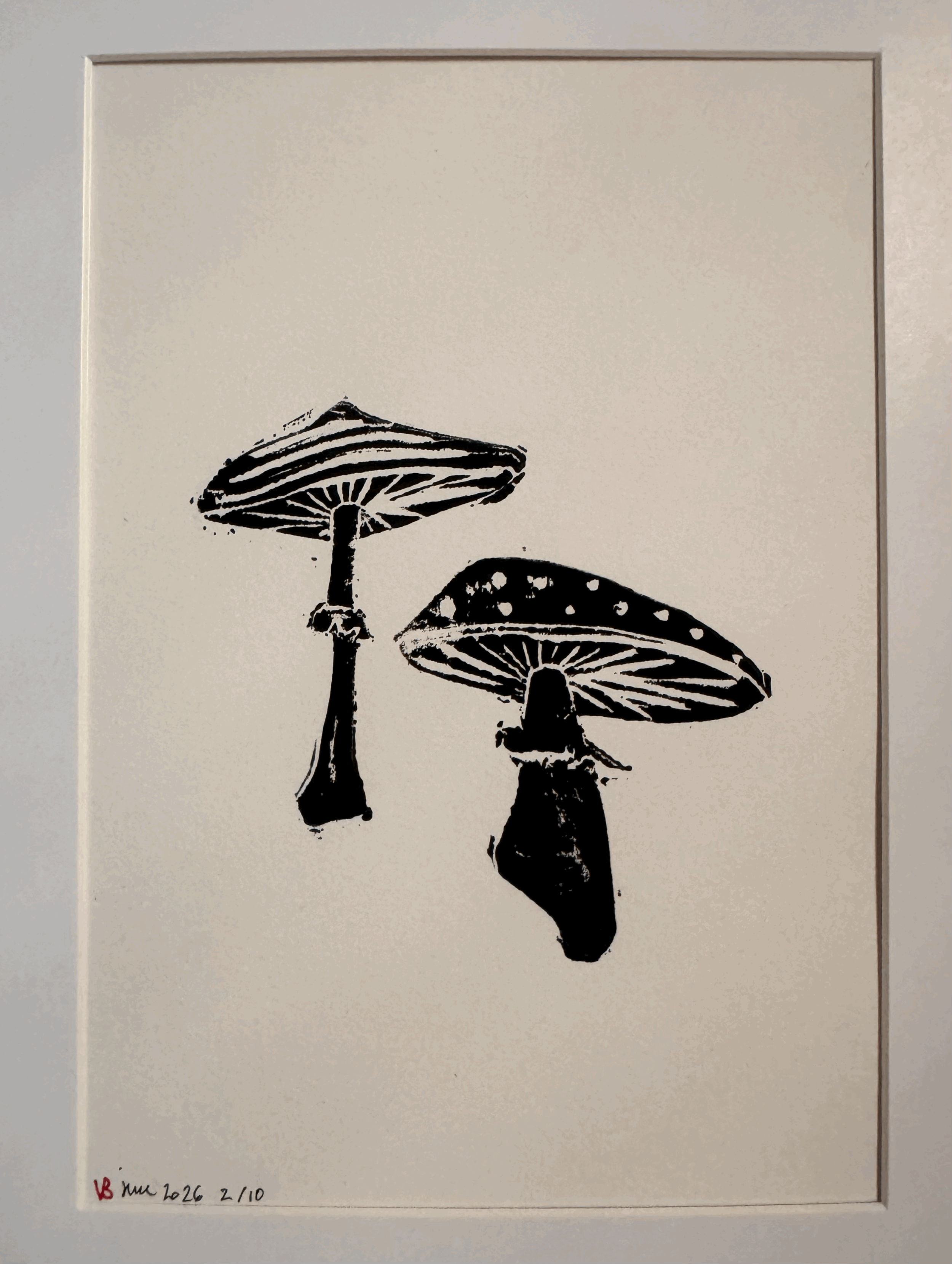 tempImagej08n7K.gif