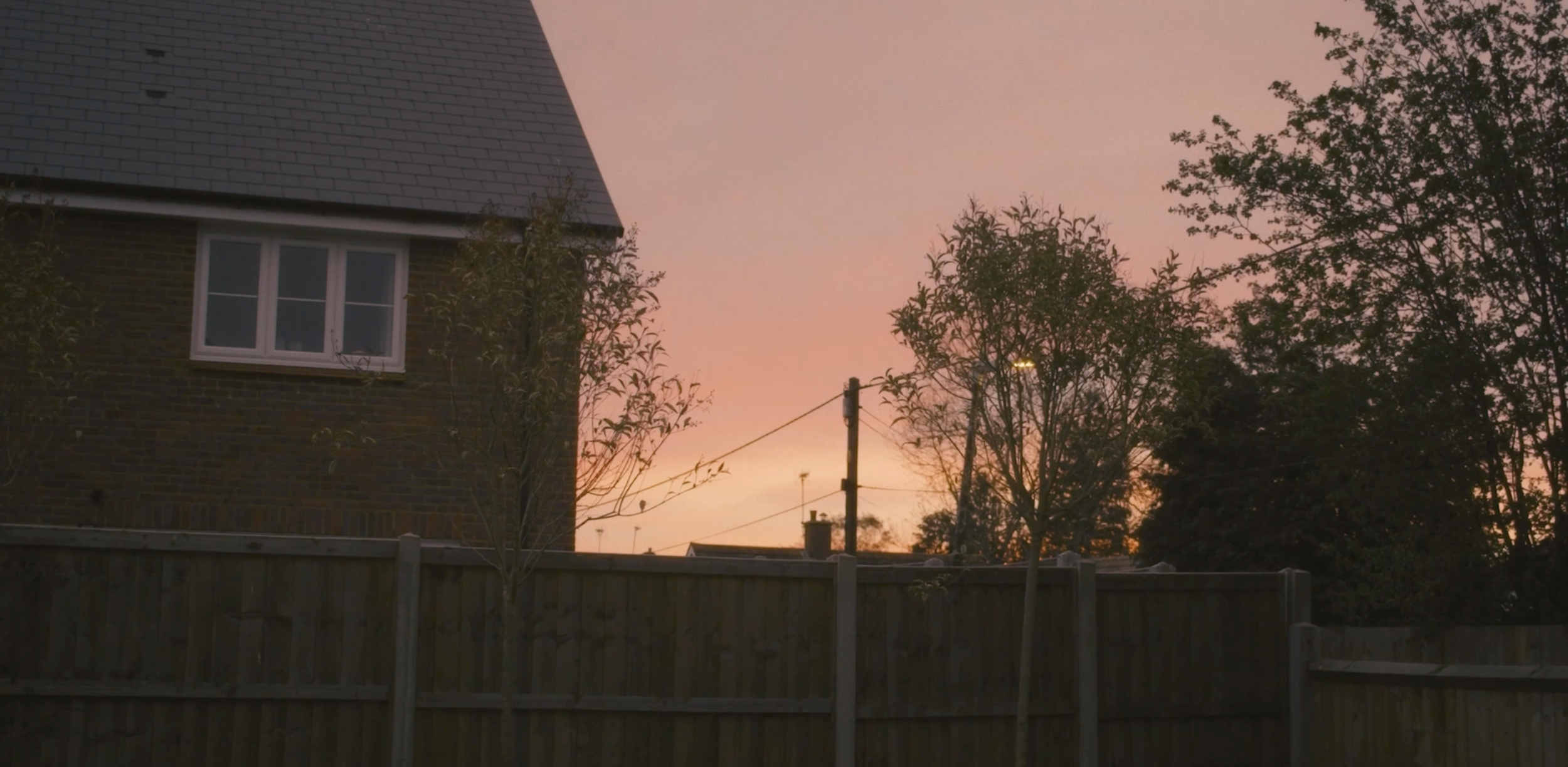 A backyard with trees, a wooden fence, and a house with a window, during sunset with pink and orange sky.