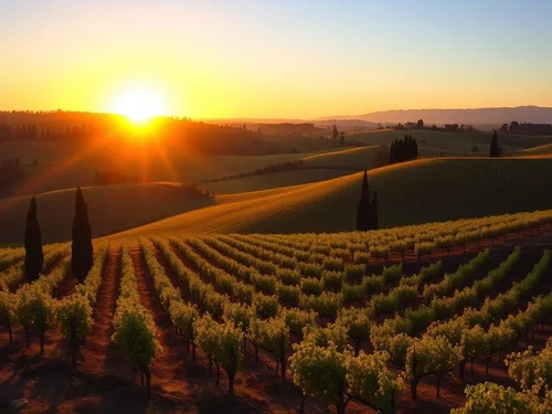 Tuscany's Hidden Wine Country