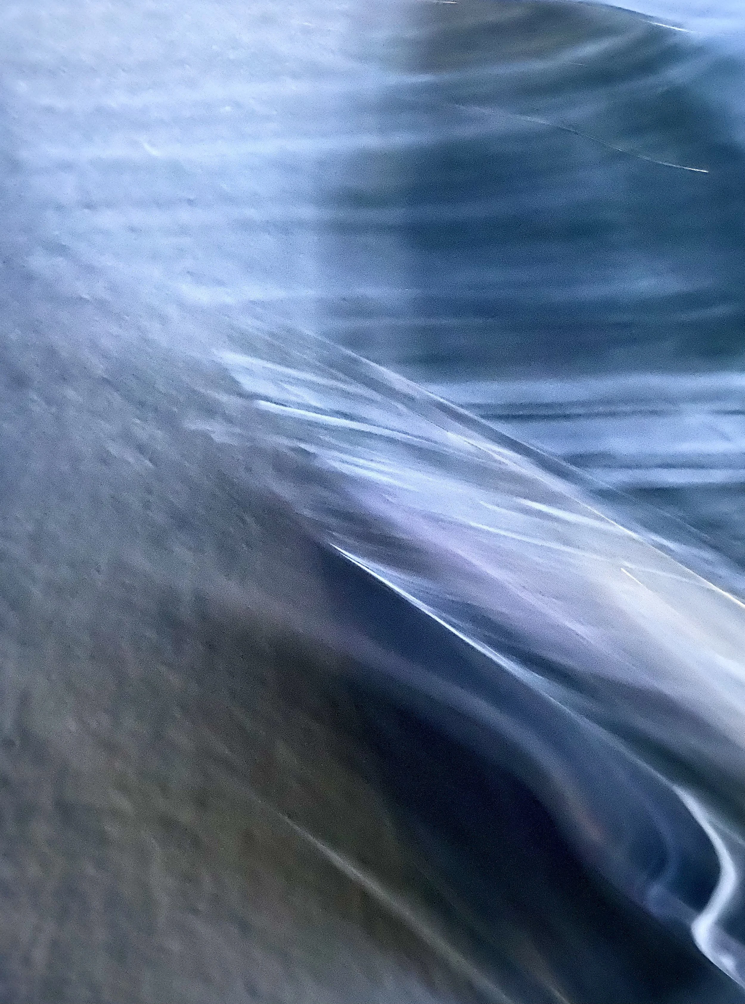 Abstract 1