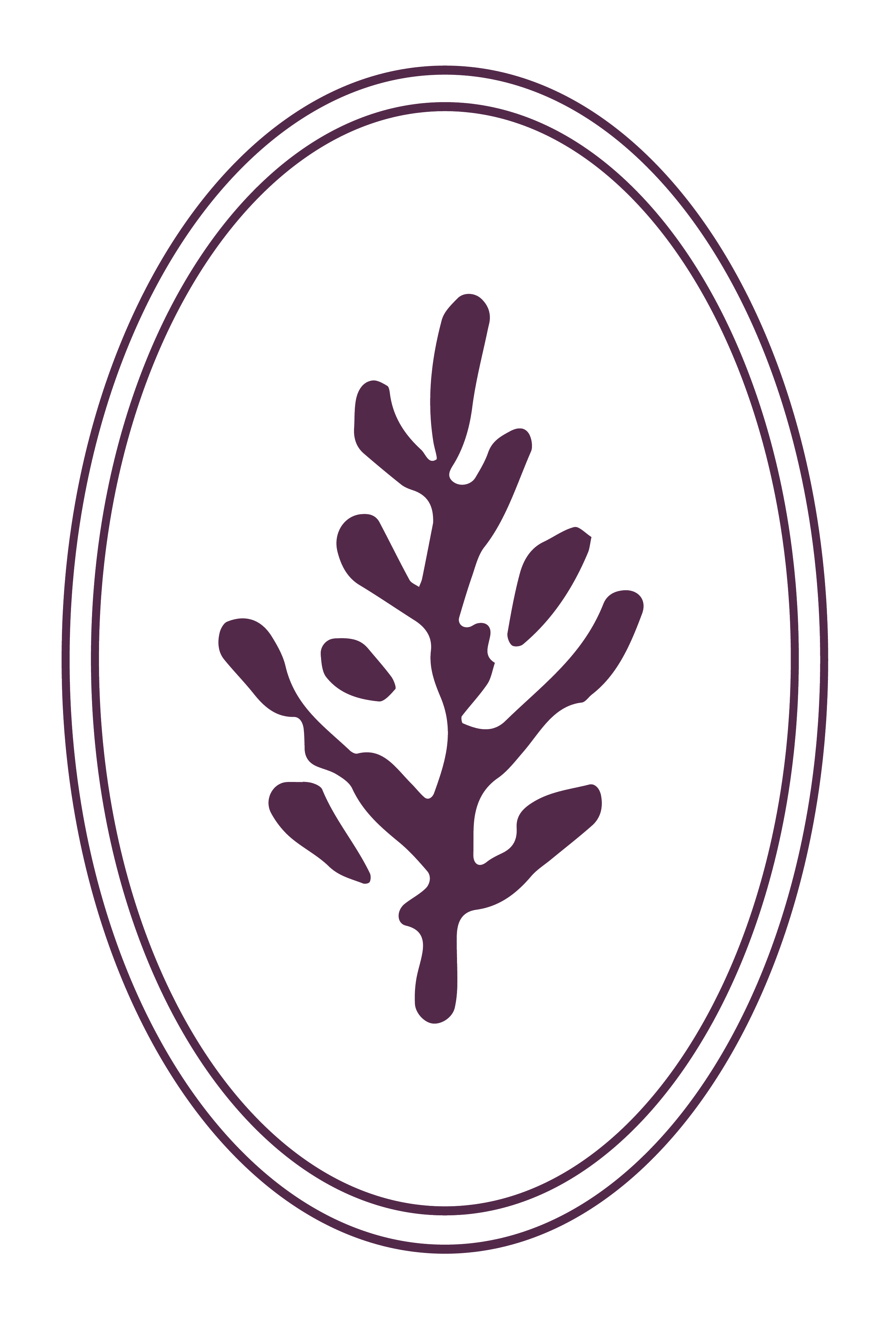 A simple purple line drawing of a sprig of lavender inside an oval border.