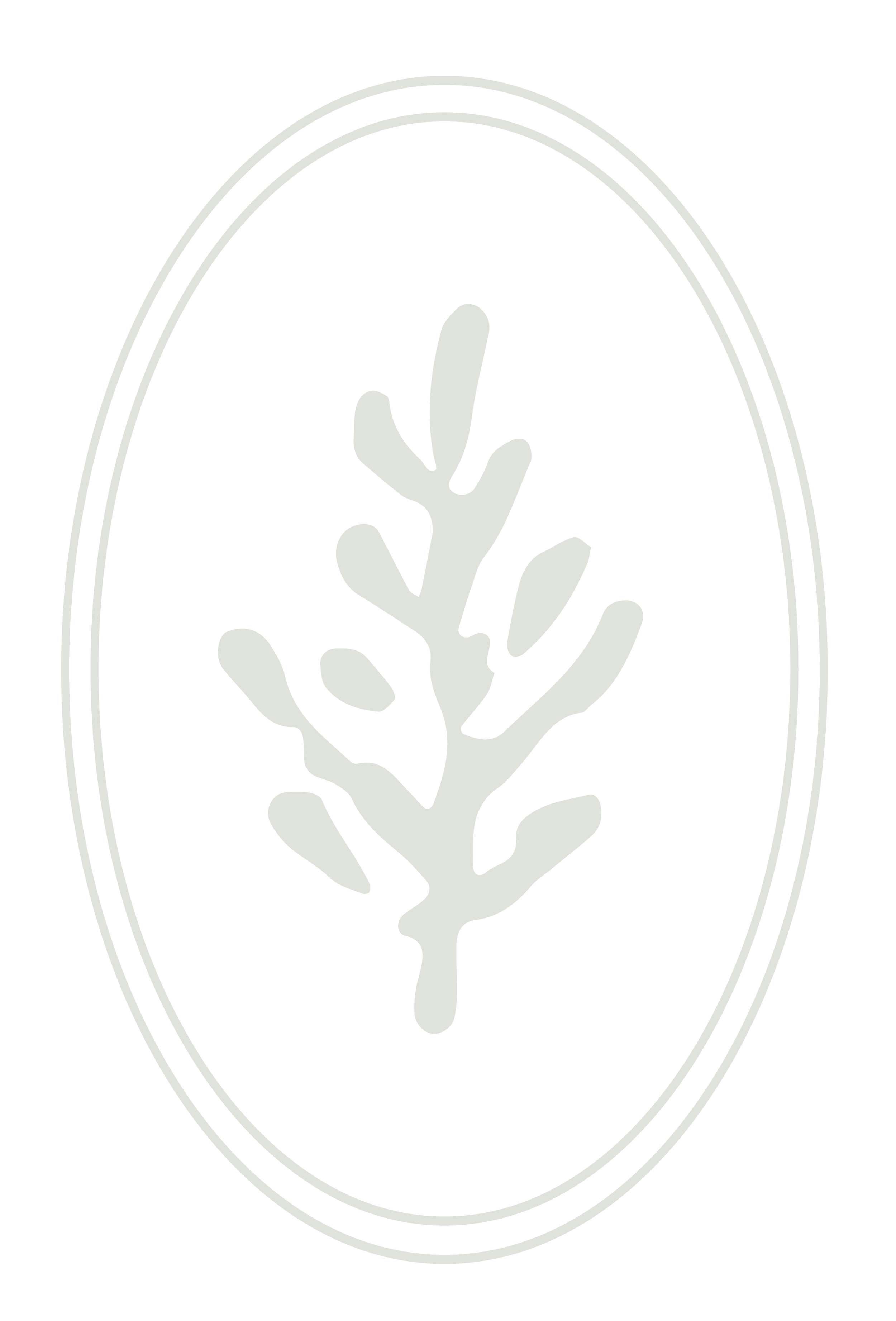 A black and white logo with a silhouette of a leaf inside an oval outline.