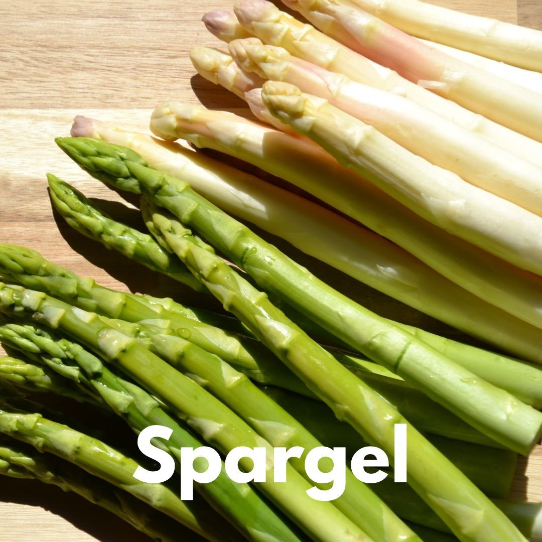 Spargel