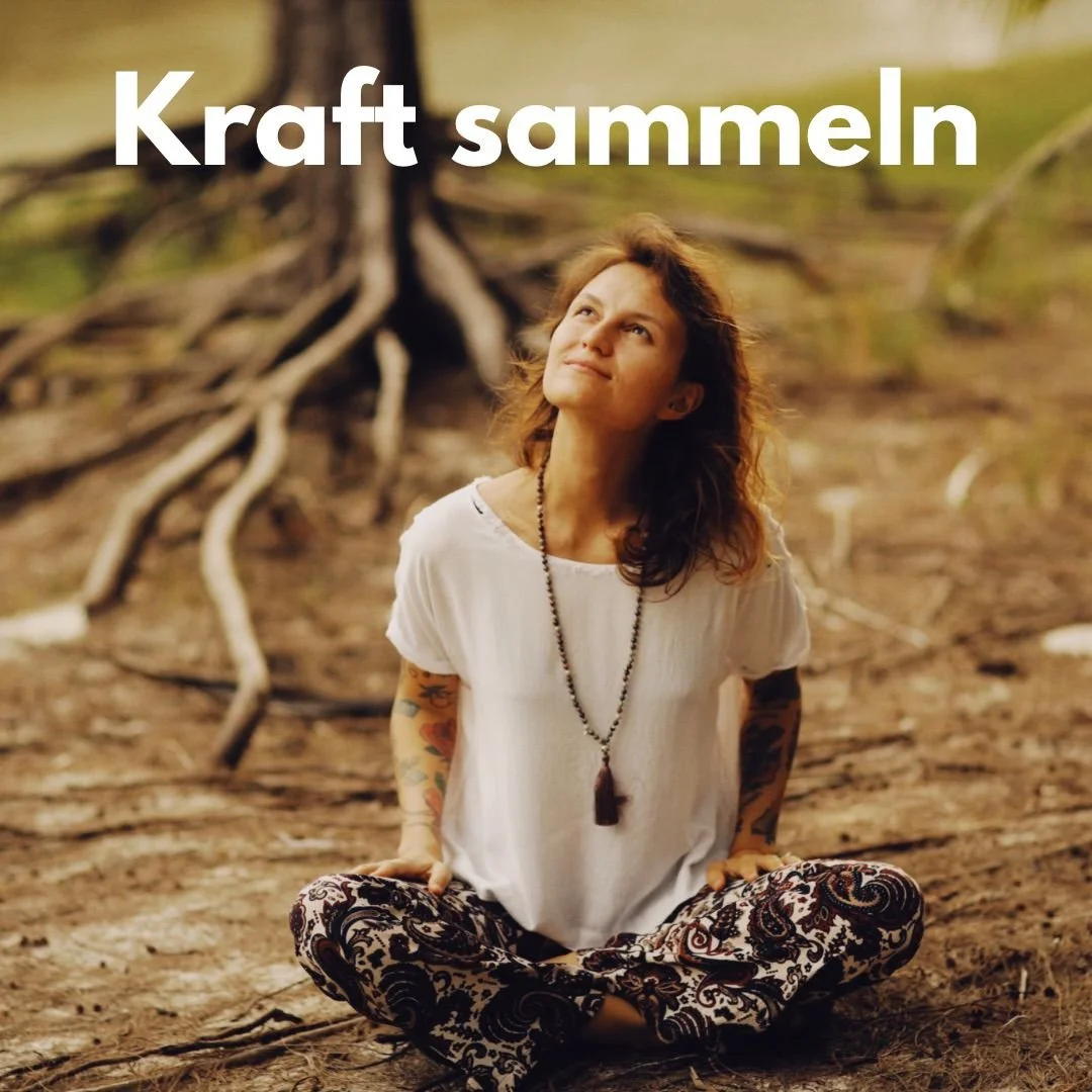 🌿 Dojozeiten – die Kraft der Übergänge