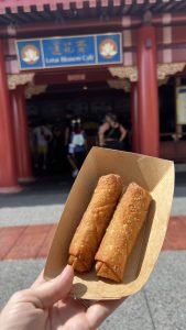 IMG_5588-169x300.jpeg