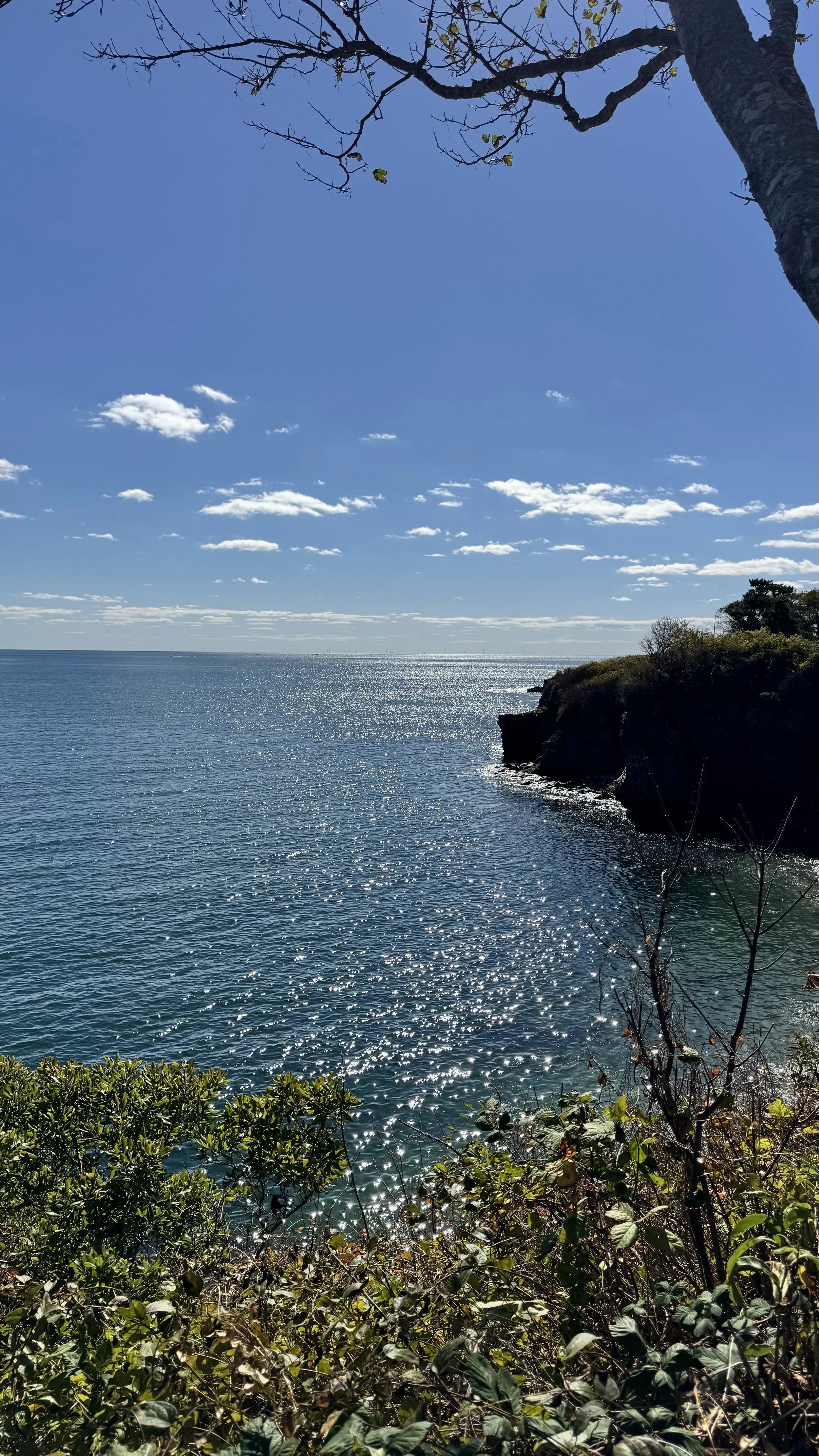 IMG_7960.jpeg