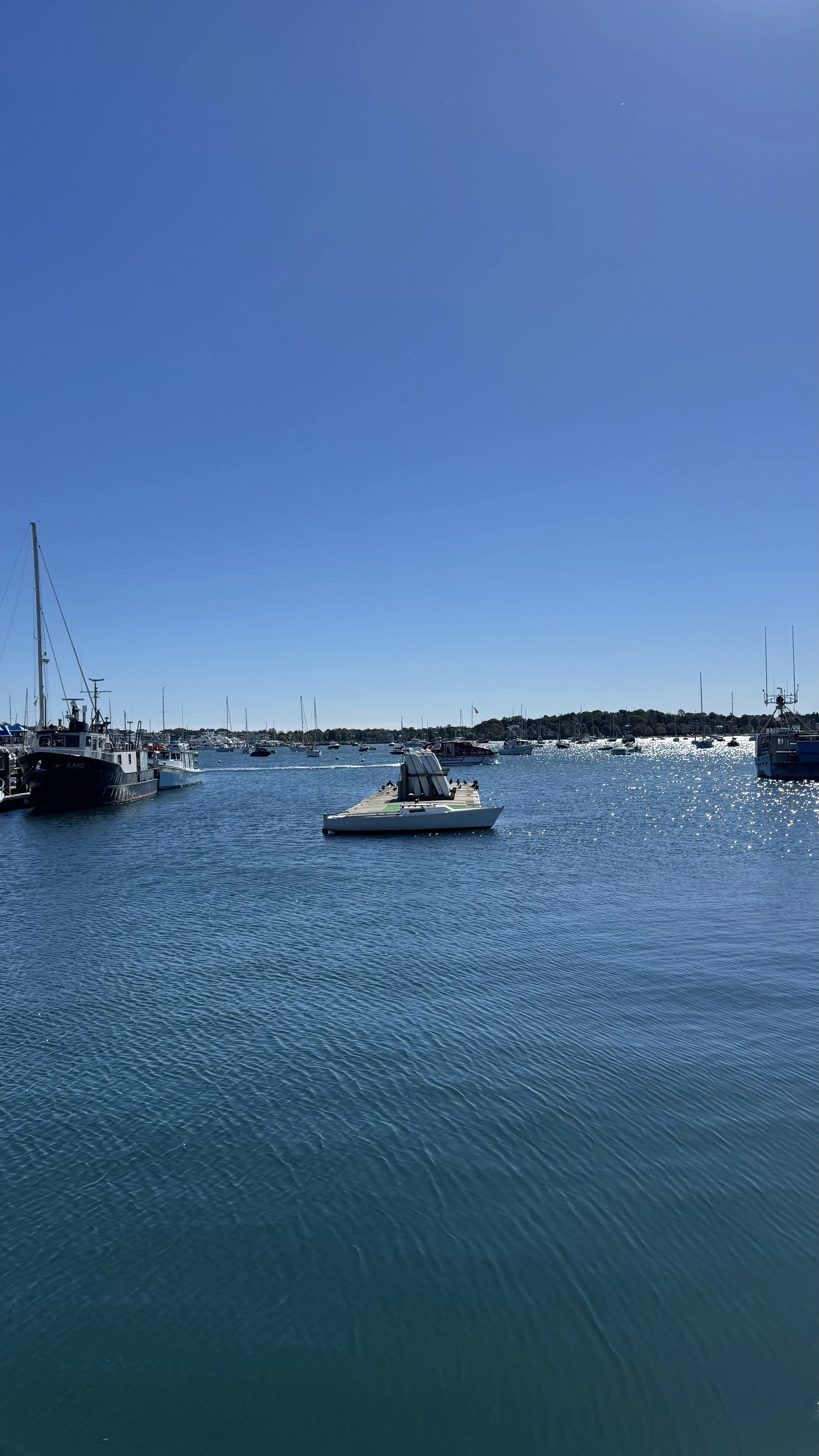IMG_7741.jpeg