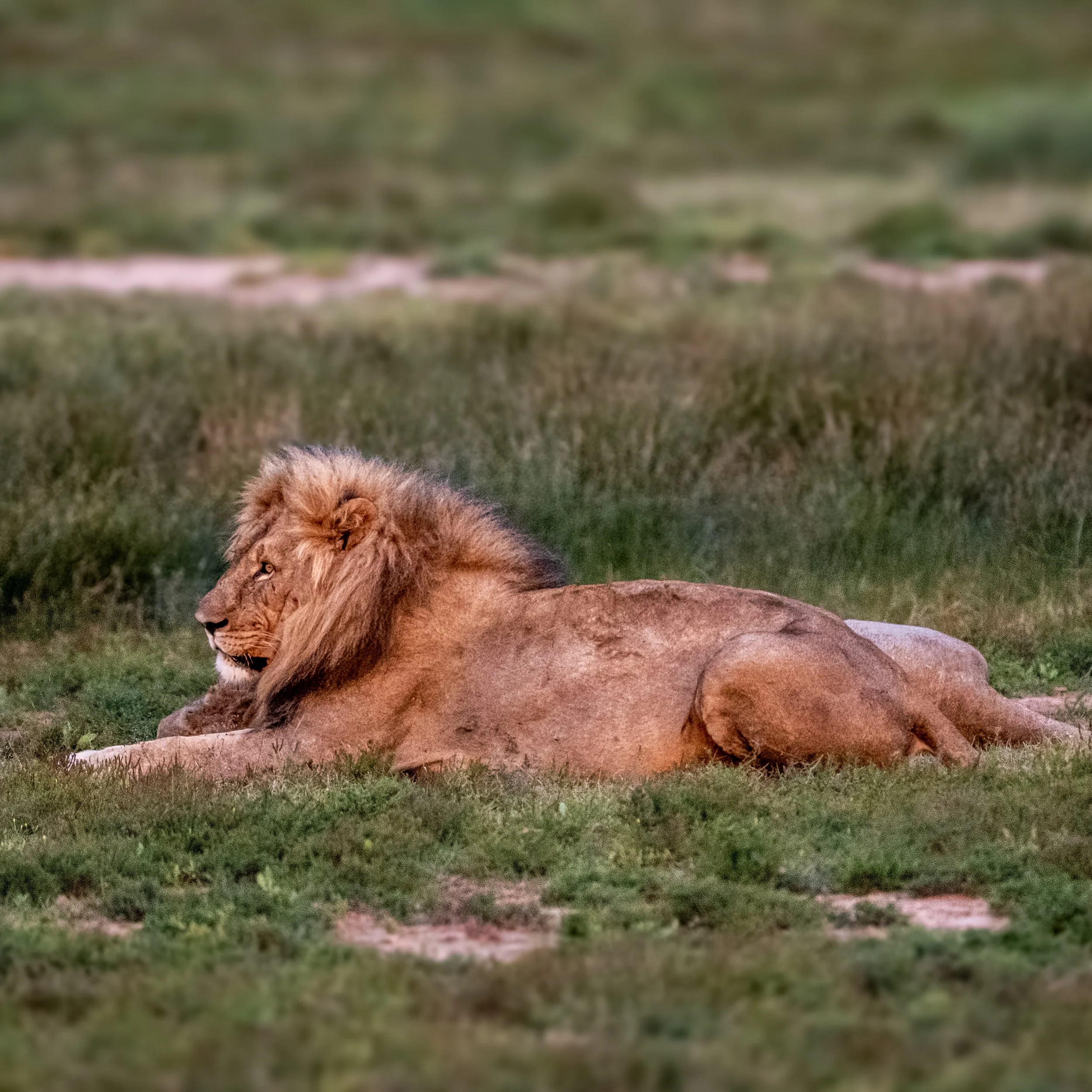 DSC_1276.jpeg