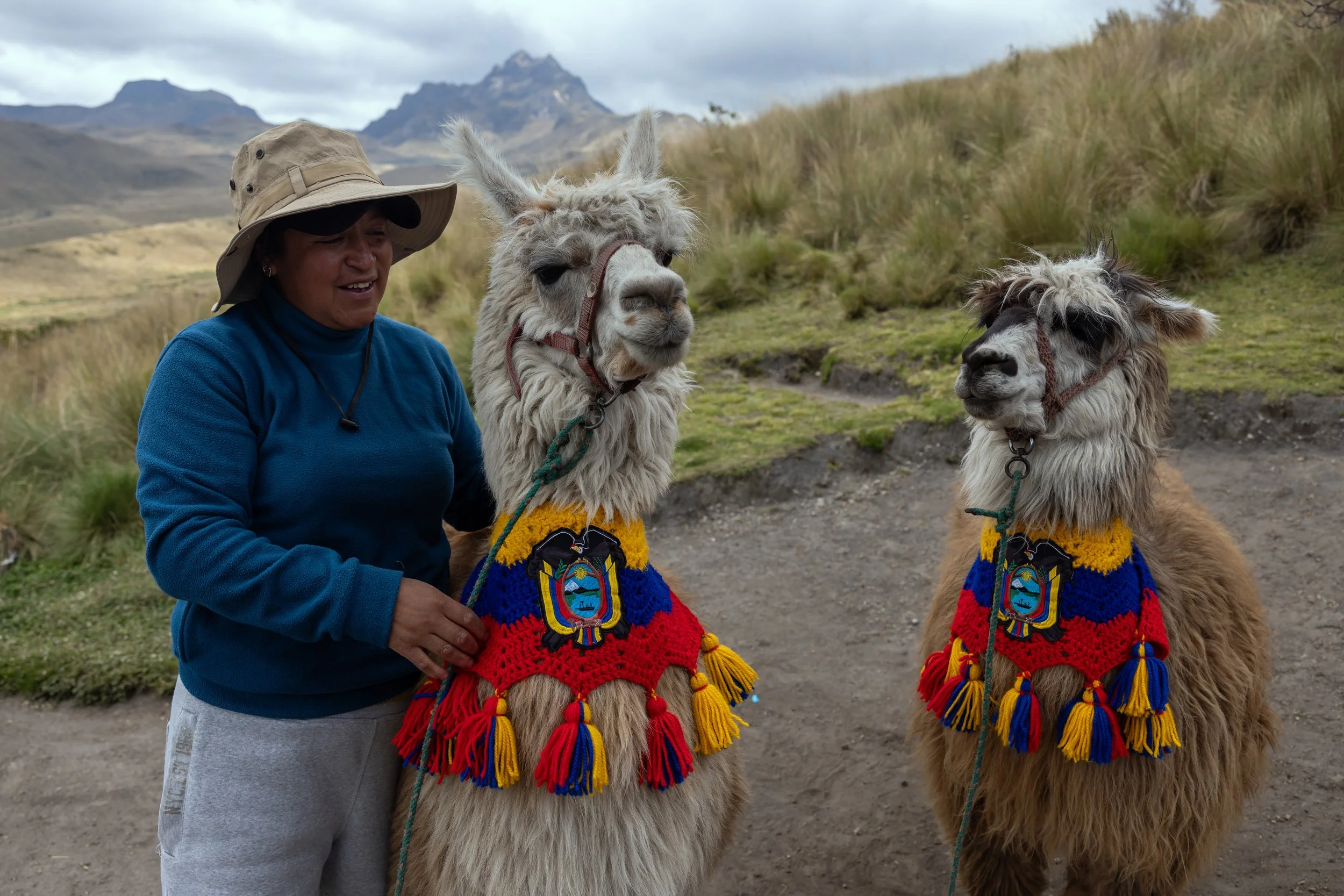 A woman wearing a blue jacket, beige hat, and gray pants standing next to two llamas dressed in colorful woven blankets and decorative harnesses outdoors in a mountainous landscape with grassy hills and cloudy sky.