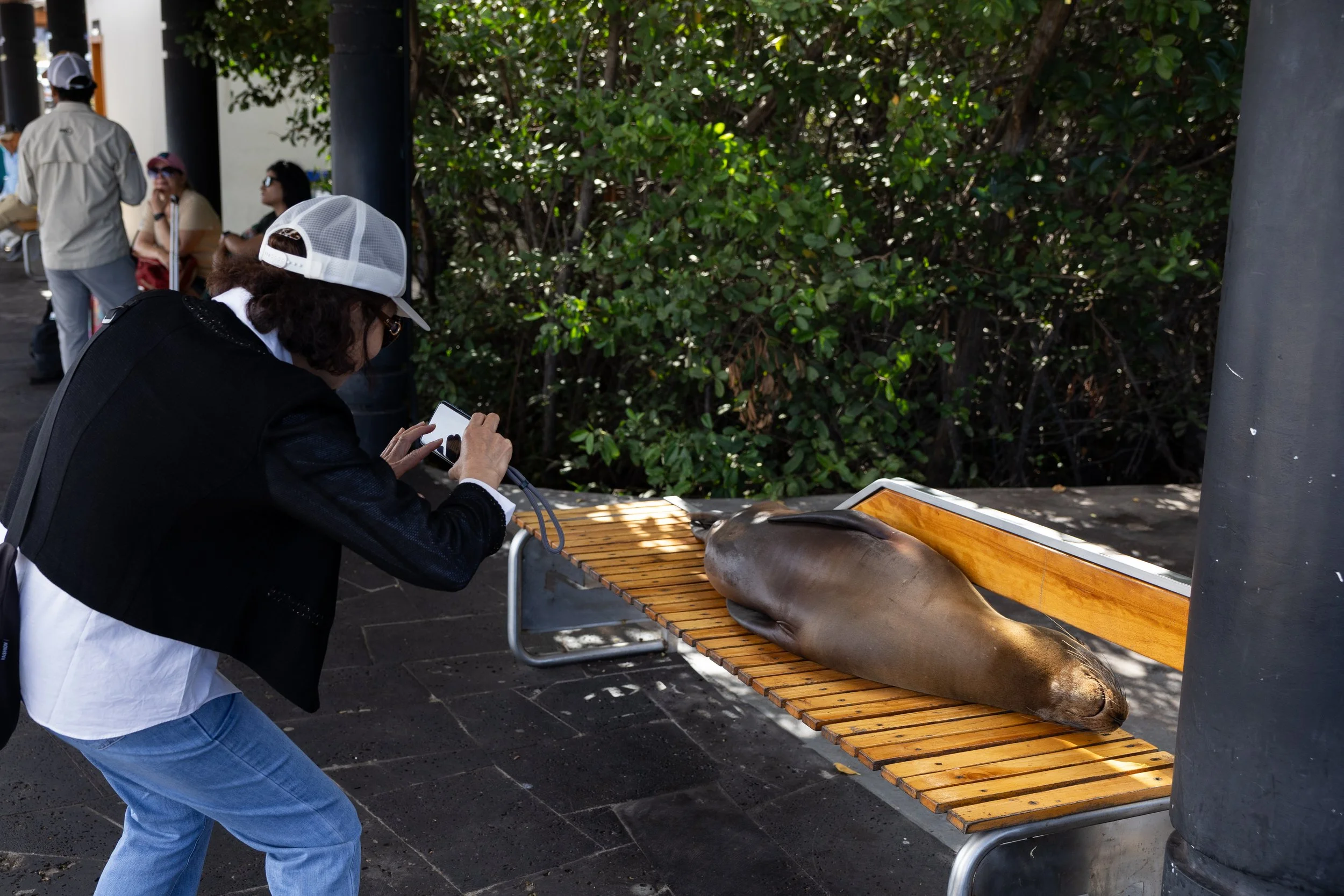 A person in a white cap and dark jacket is taking a photo of a large fish on a wooden table with a smartphone. Behind them, several people are sitting and standing at an outdoor location with green bushes.