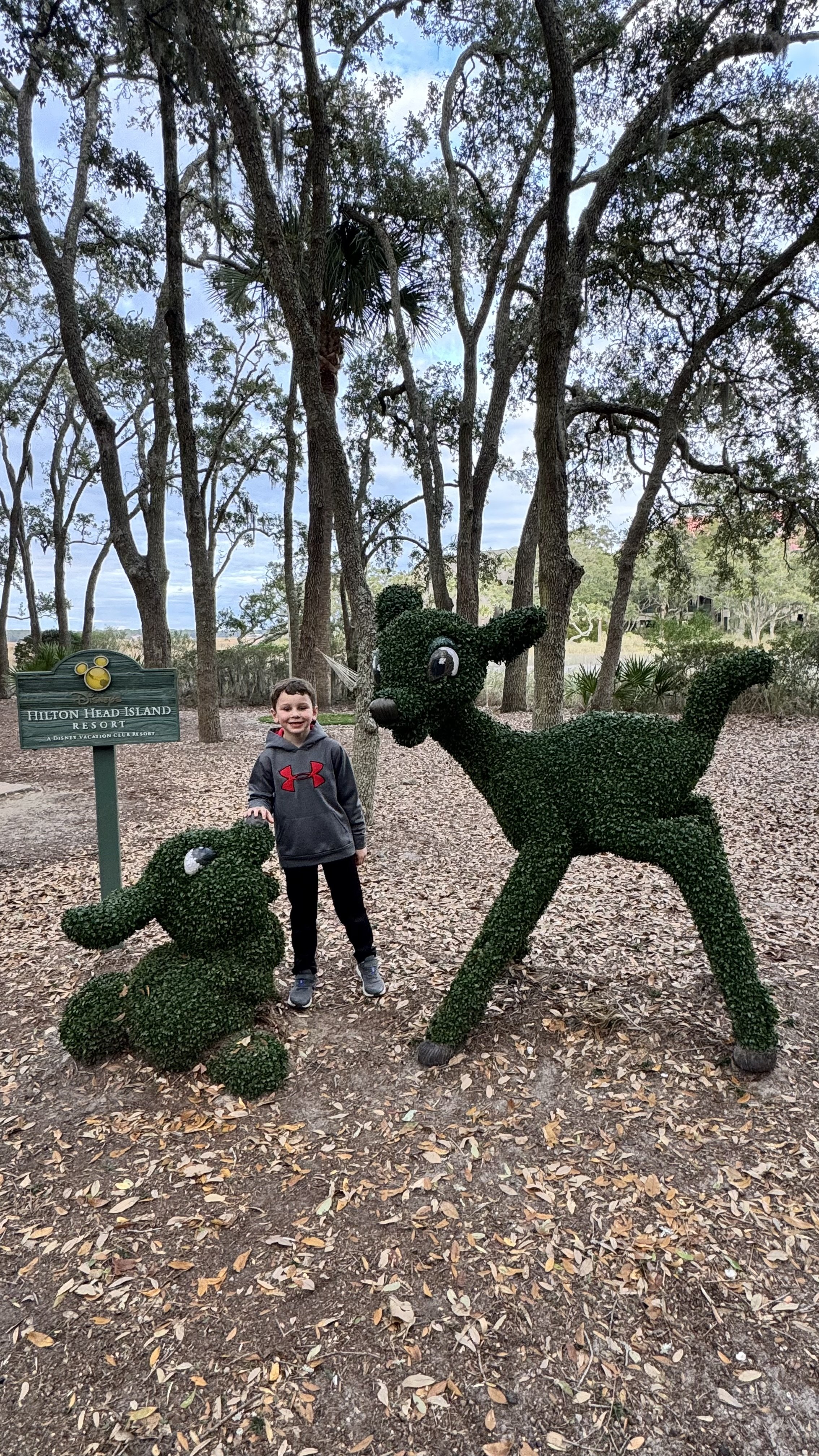 Disney's Hilton Head Island topiary with a young boy in a hoodie made by Under Armour in cooler weather