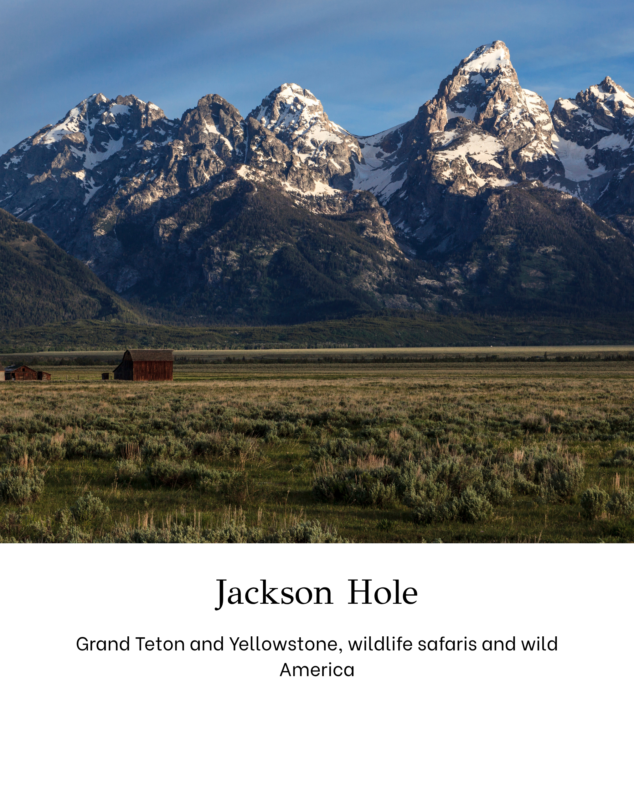 Landscape view of Grand Tetons in Jackson Hole, Wyoming, with snow-capped peaks and green forested slopes in the foreground, under a blue sky.