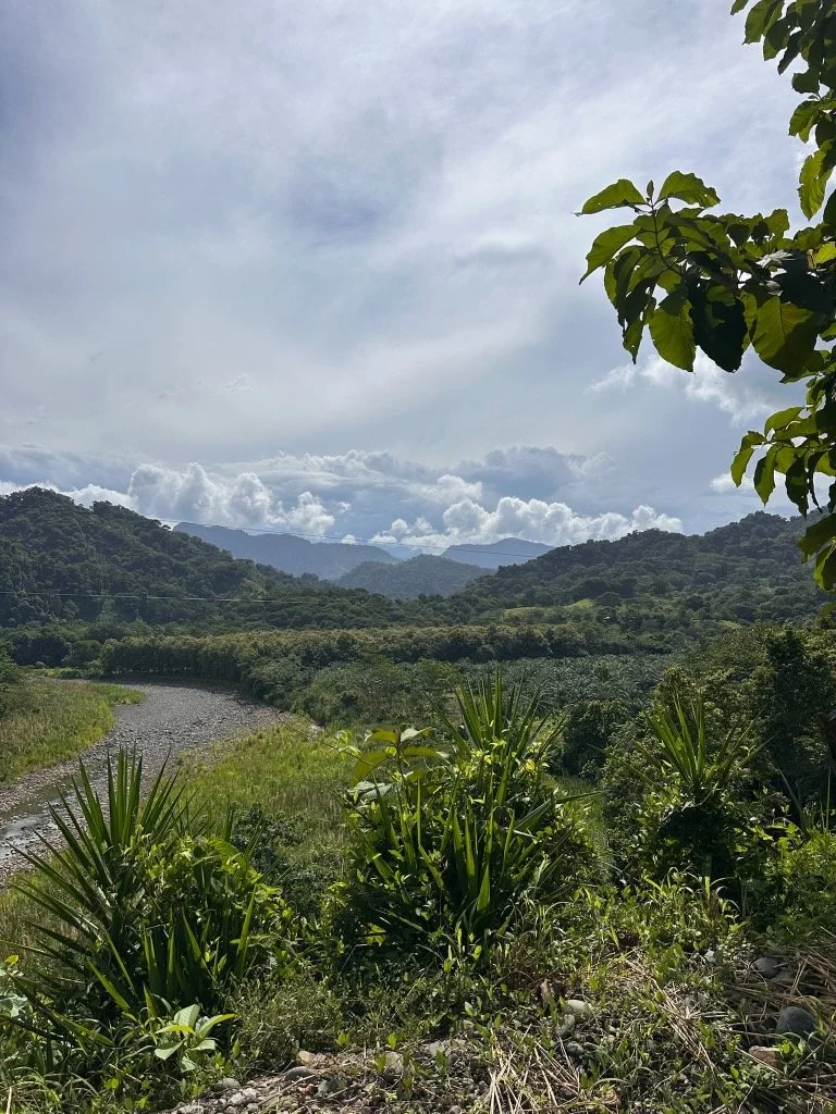 Lush green mountains and vegetation with a cloudy sky in the background, a river running through the valley.