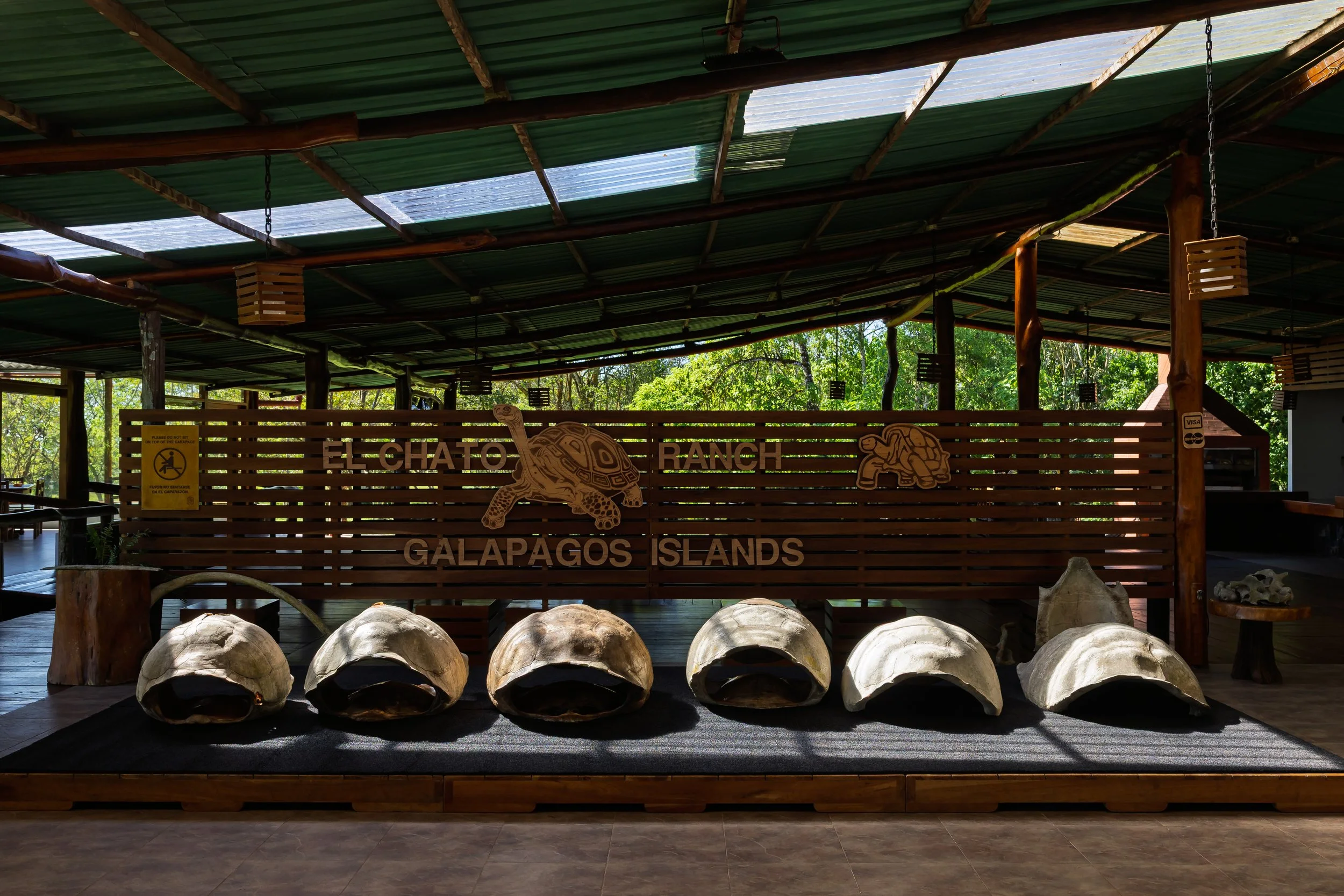 Sign at El Chato Ranch on Galápagos Islands features a turtle and a tortoise illustration with the text "El Chato Ranch Galápagos Islands." The background shows a shaded outdoor area with a wooden roof and green trees visible through the open sides, 
