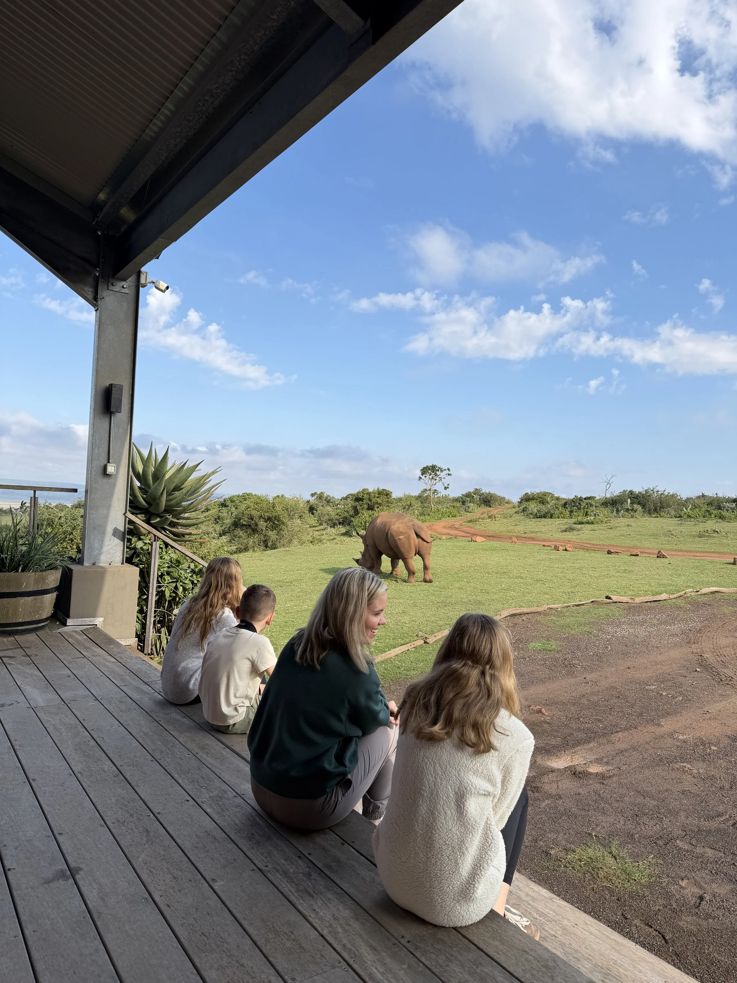 At our carriage, the rhino came up so close to us!