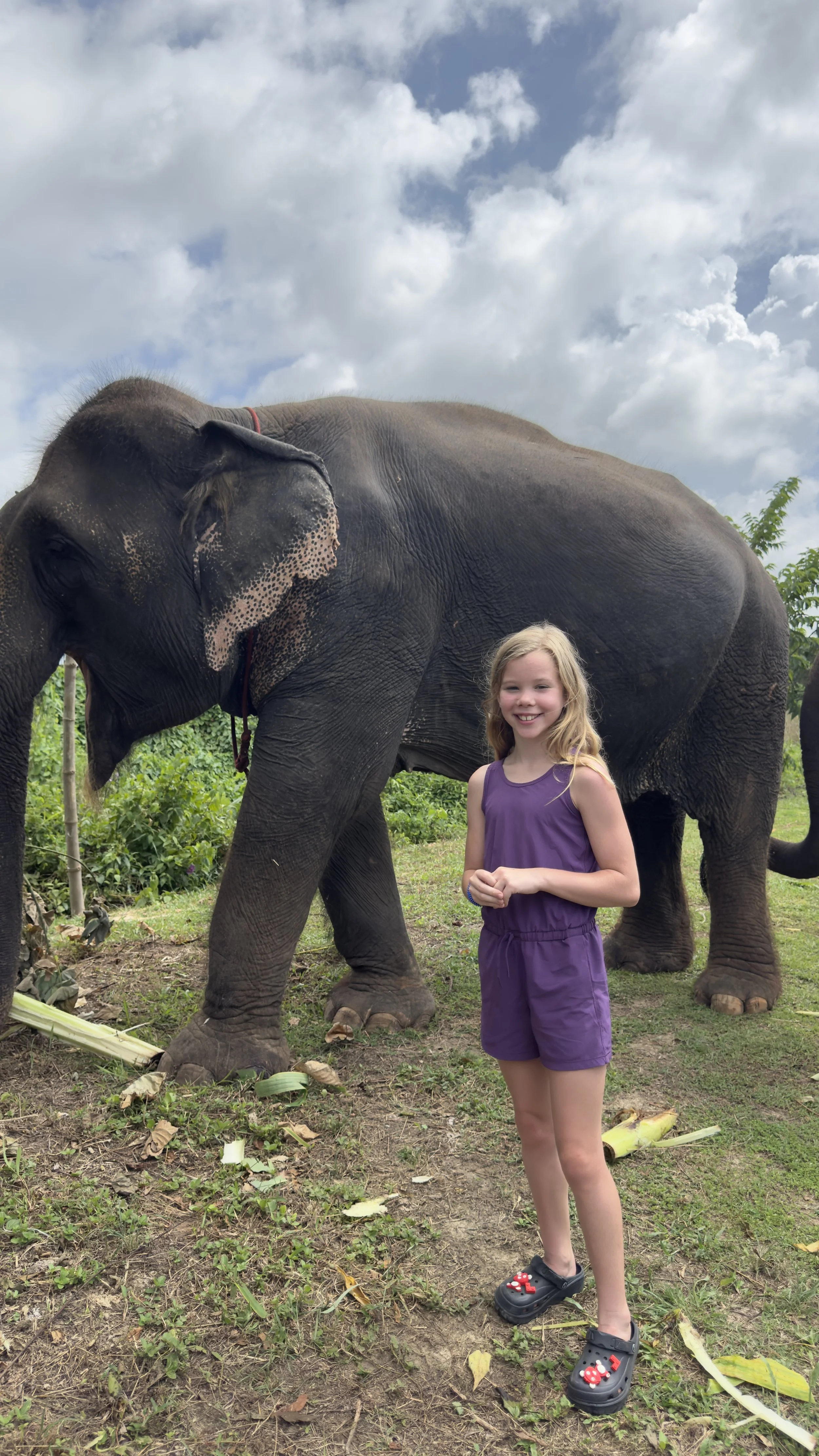 Young girl in a purple romper with an elephant in Asia, Krabi, Thailand
