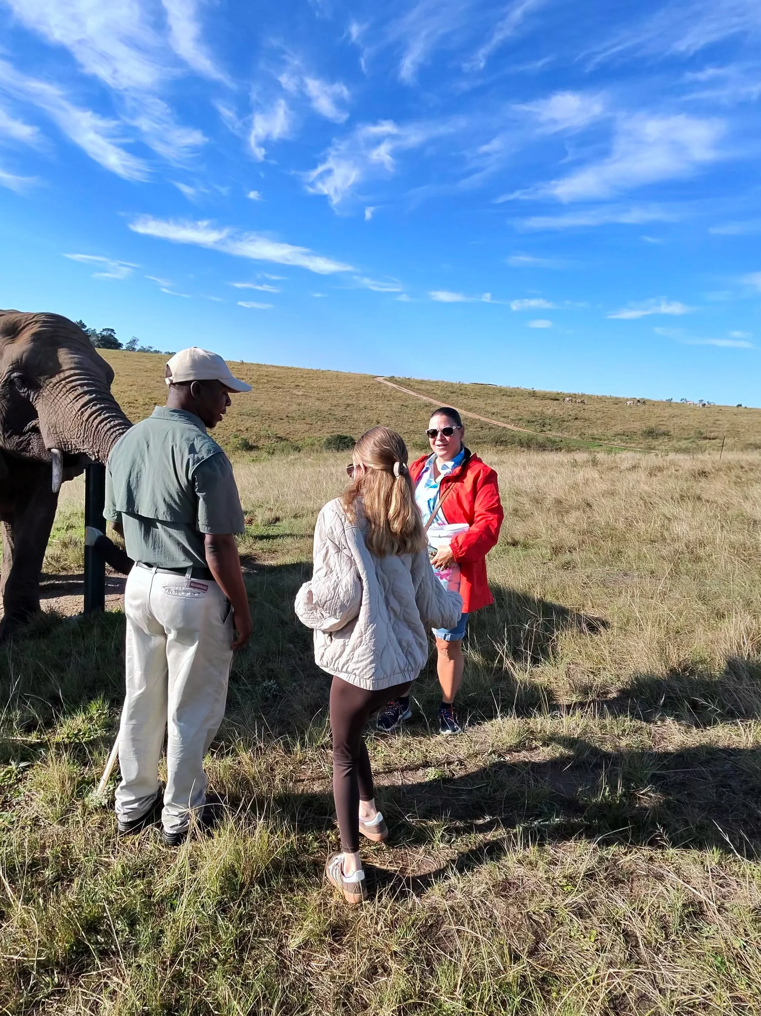 Rae feeding the elephant
