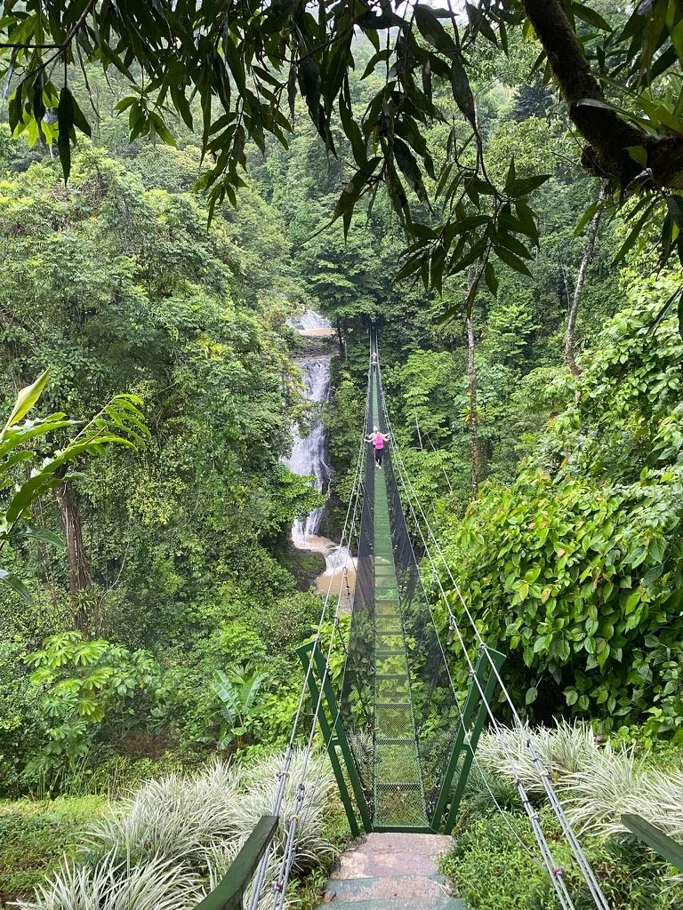 A suspension bridge in a lush green forest with a waterfall in the background, and a person in a pink shirt walking across