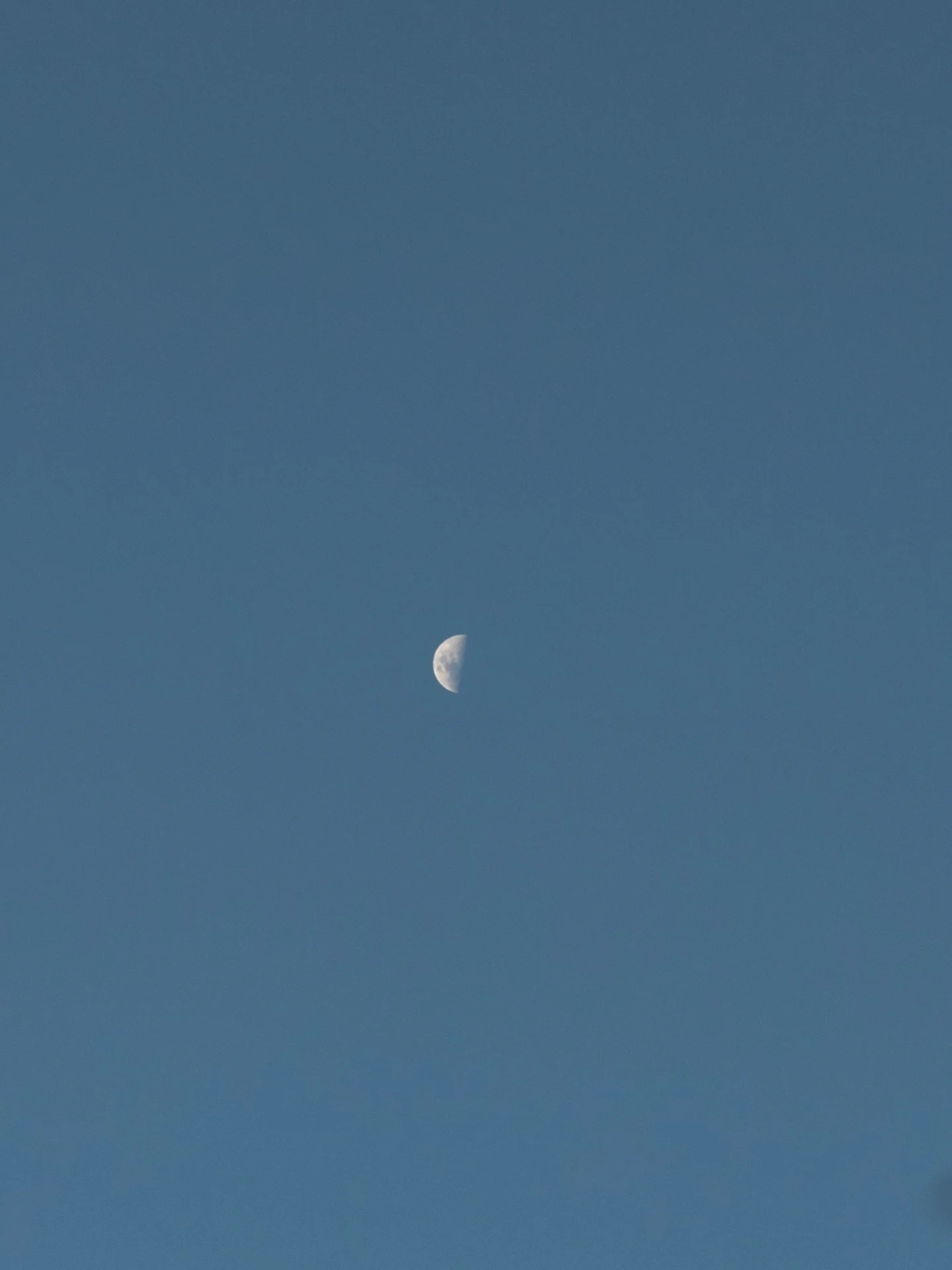 This was the first quarter and just like that it&rsquo;s the last quarter. The moon phases always catch me off guard in how quickly time moves 🌓 weather permitting, you&rsquo;ll likely always end up with a photo of the moon in your gallery.