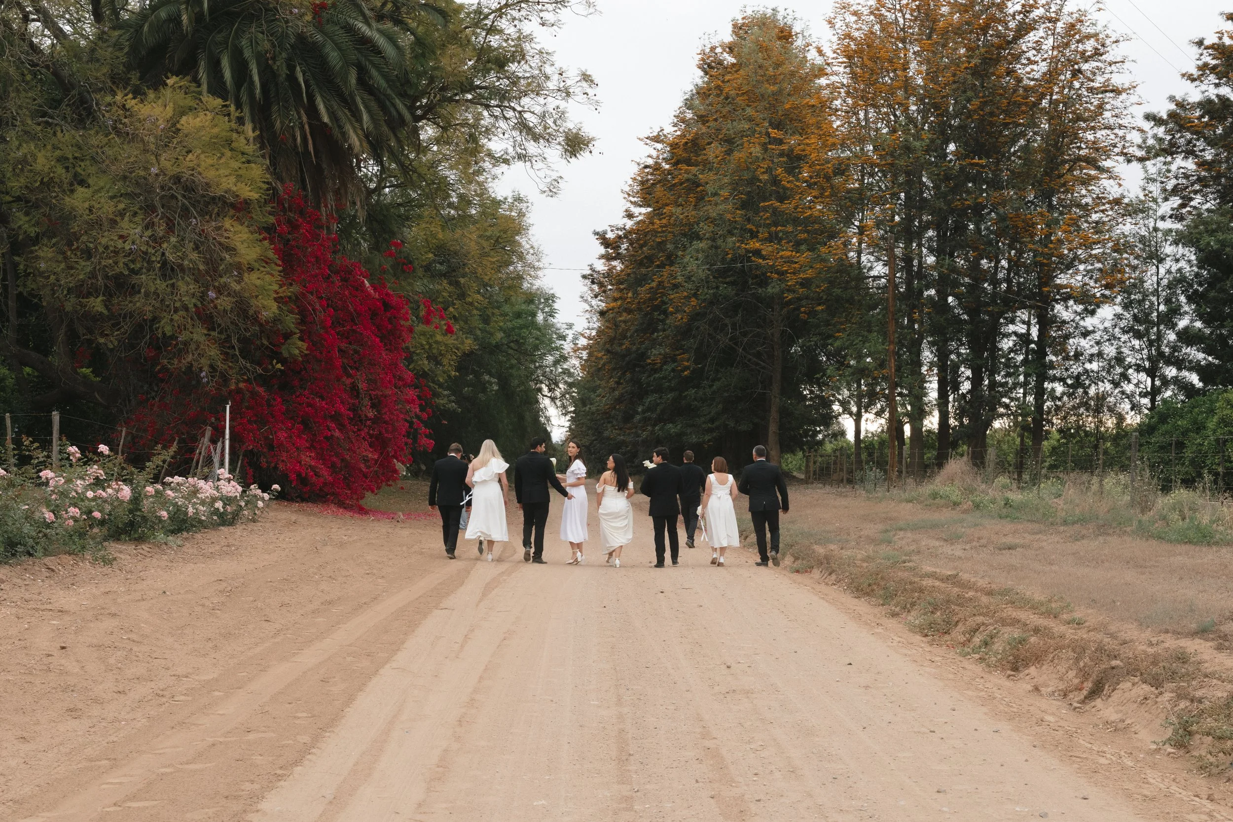 Do You Need Two Wedding Photographers?