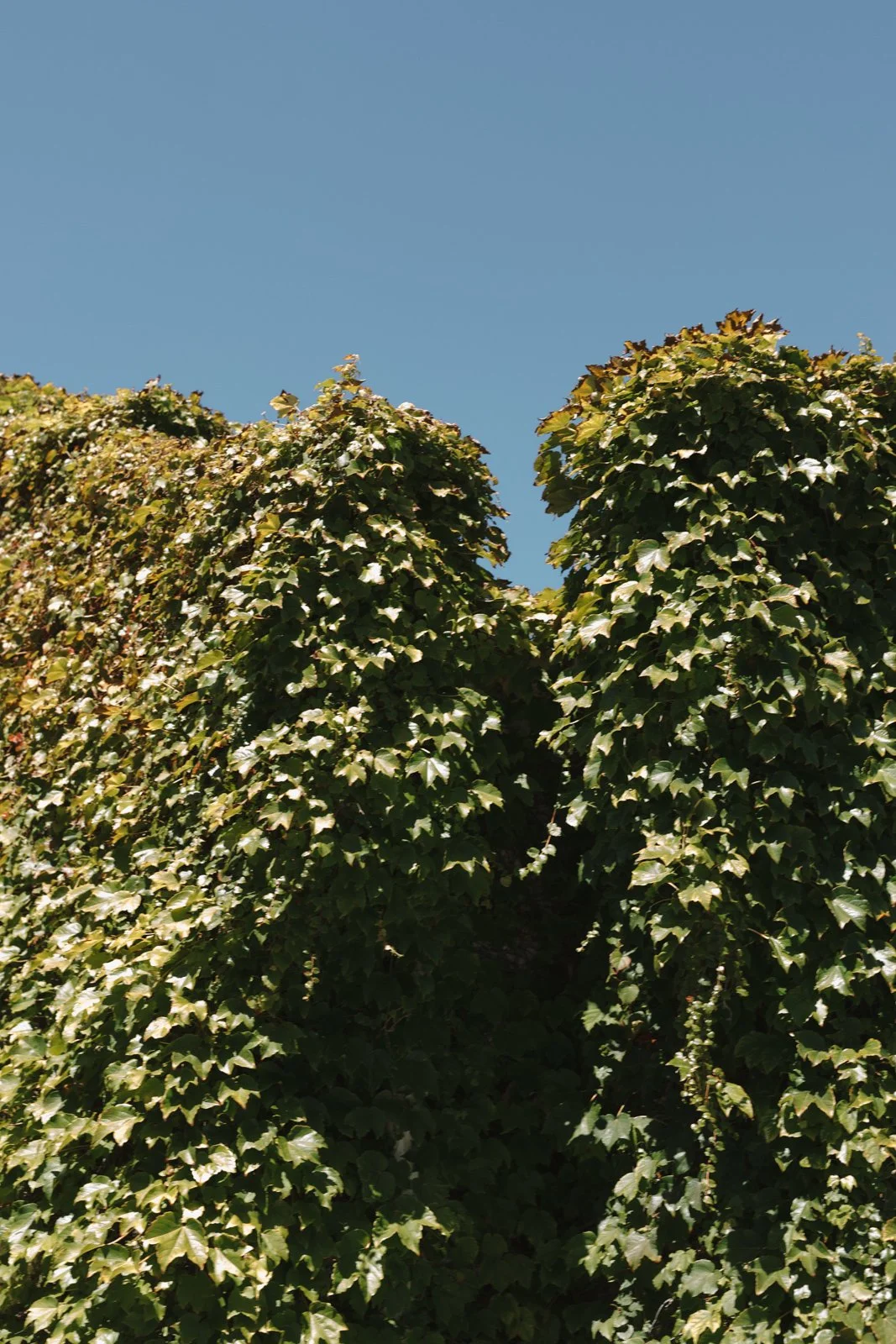Jarred&DemiWalmerGardenWedding_064.jpeg