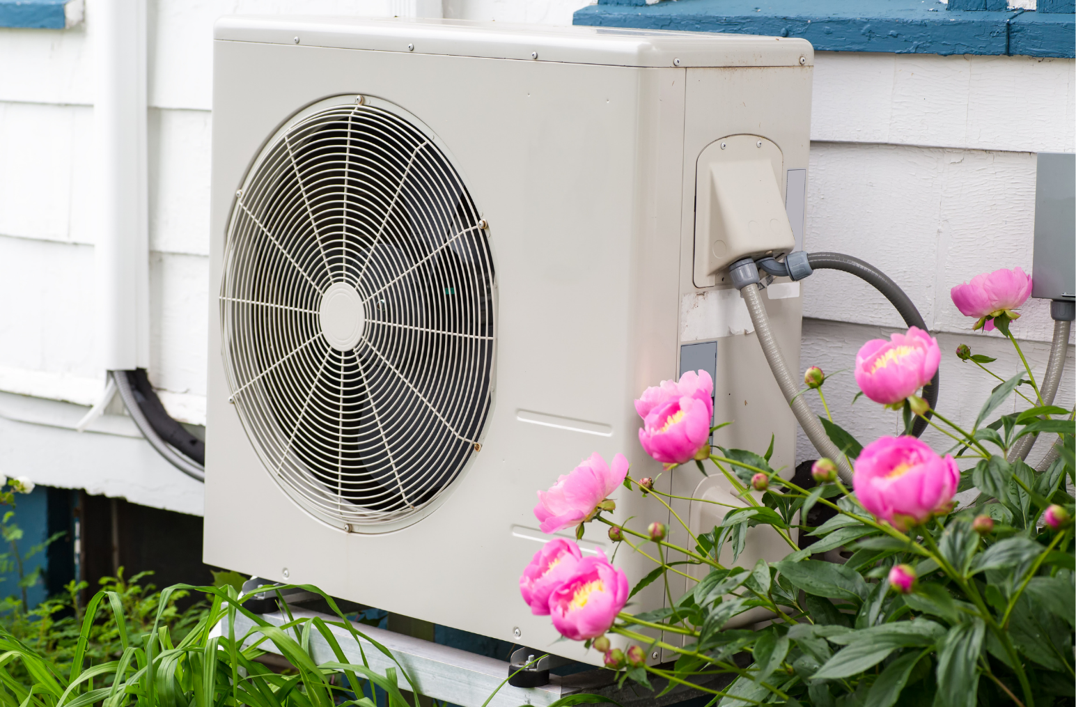 Outdoor air conditioning unit installed on a house exterior wall with pink peony flowers and green foliage nearby.