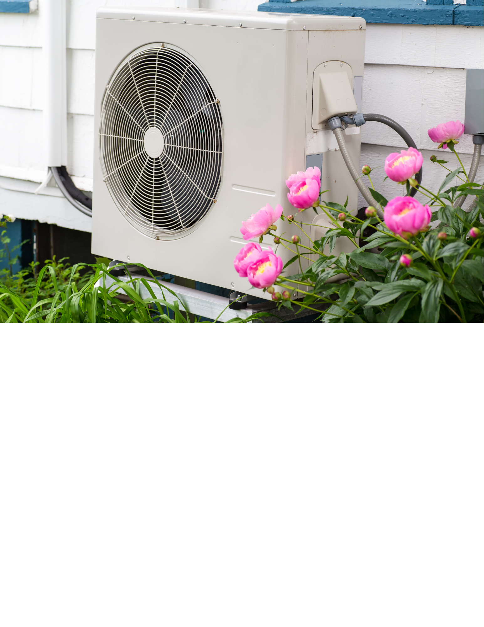 Outdoor air conditioning unit next to a white building wall with pink peony flowers in the foreground.