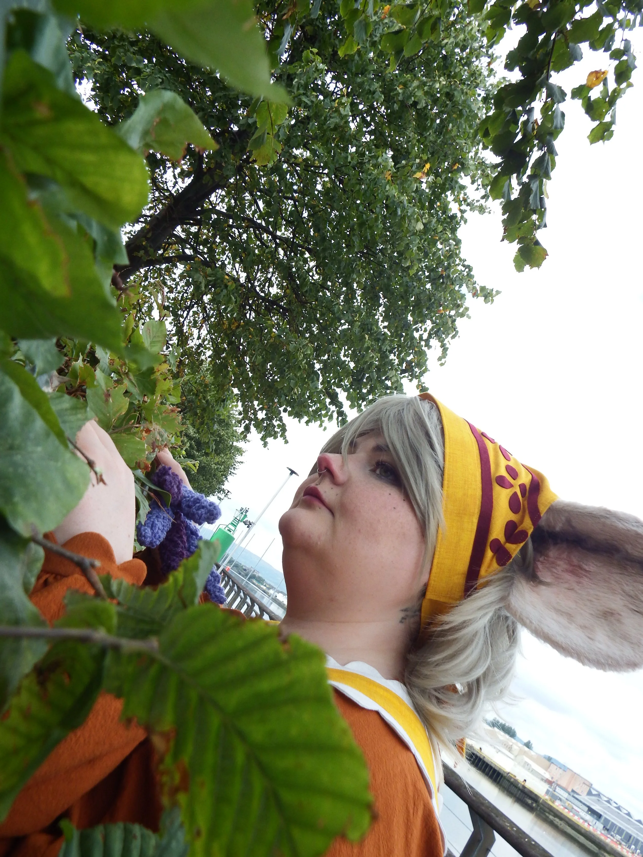 DSCF7044.JPG