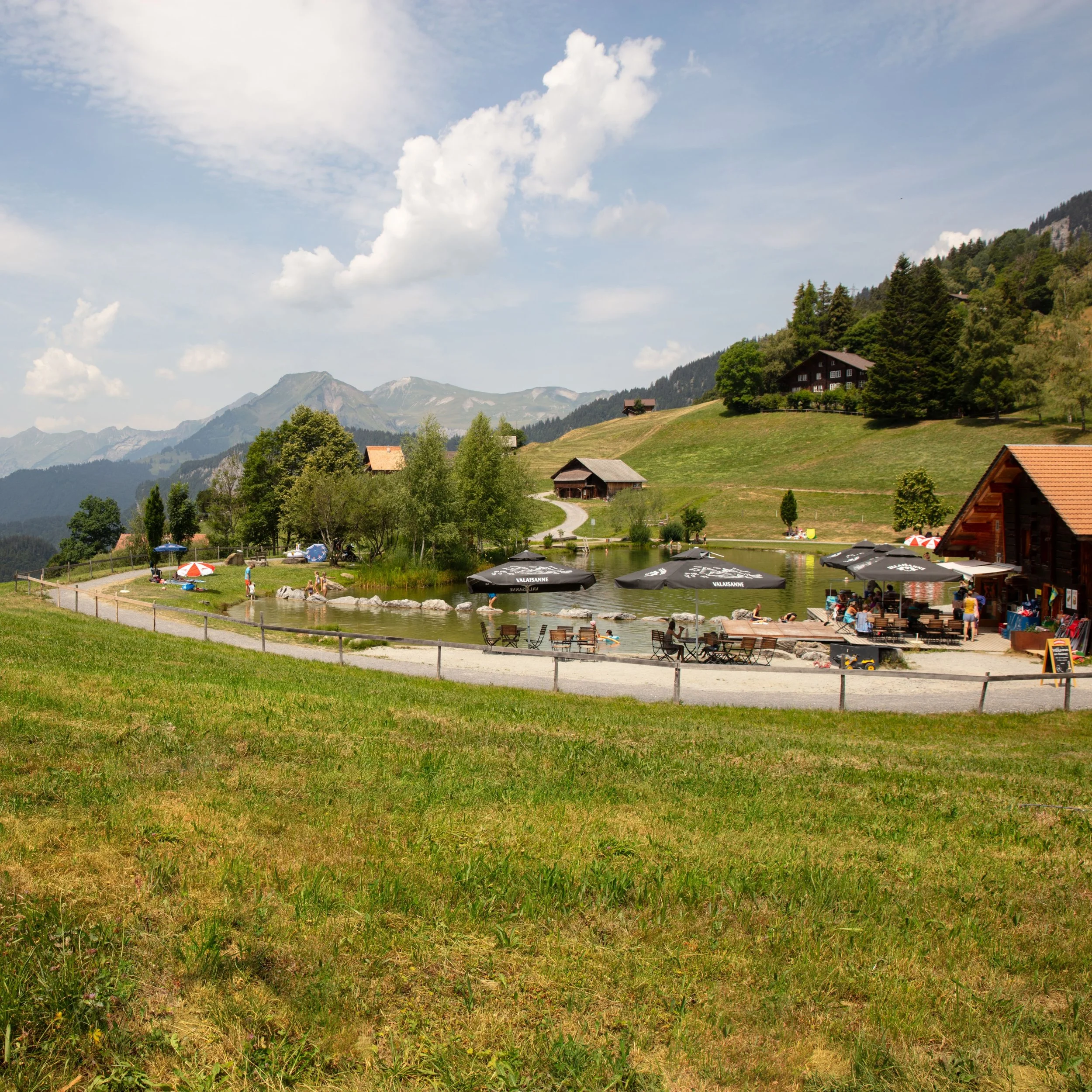 © Fuchs & Haas Festival — Fotocredit auf Anfrage