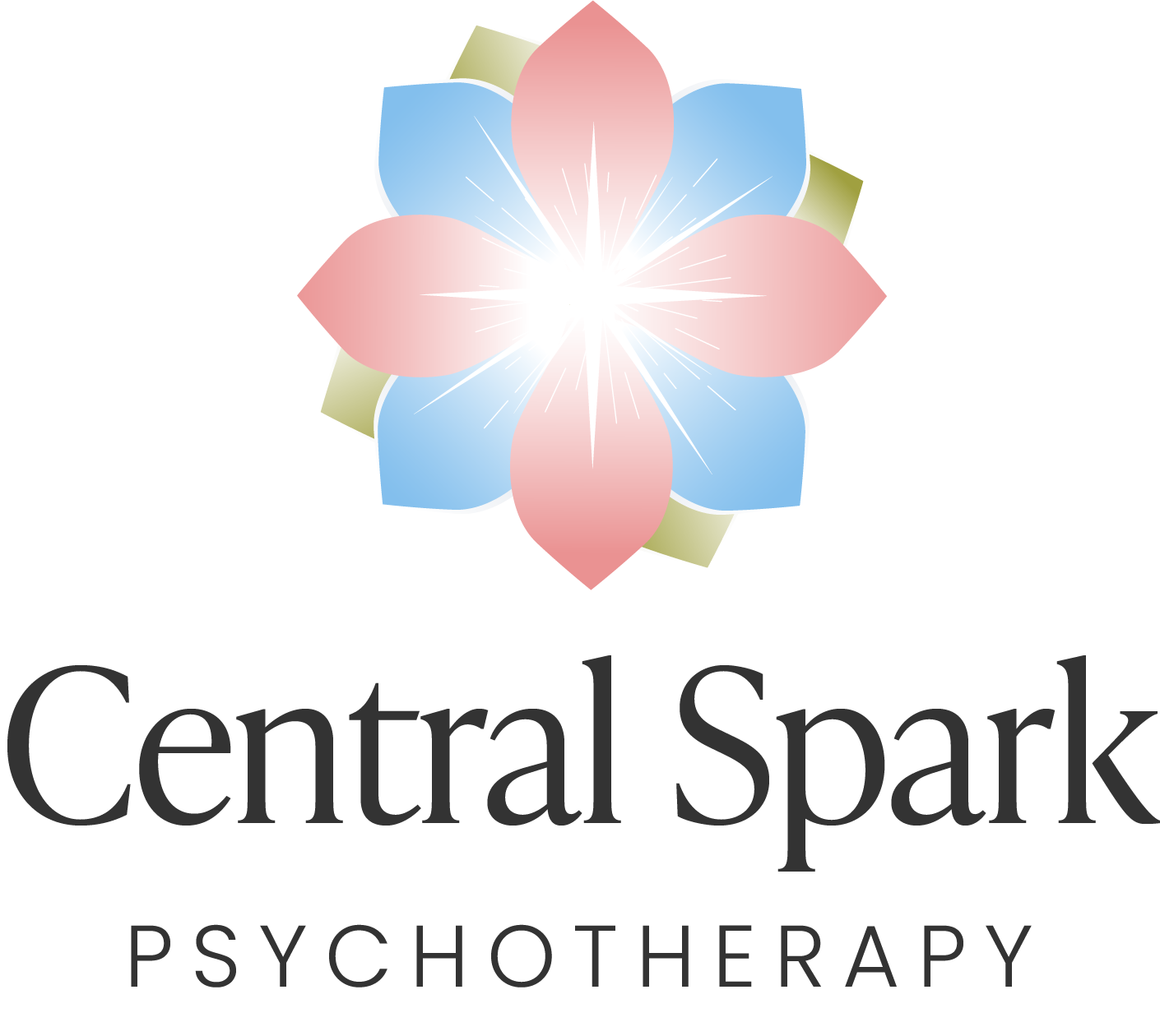 Central Spark Psychotherapy