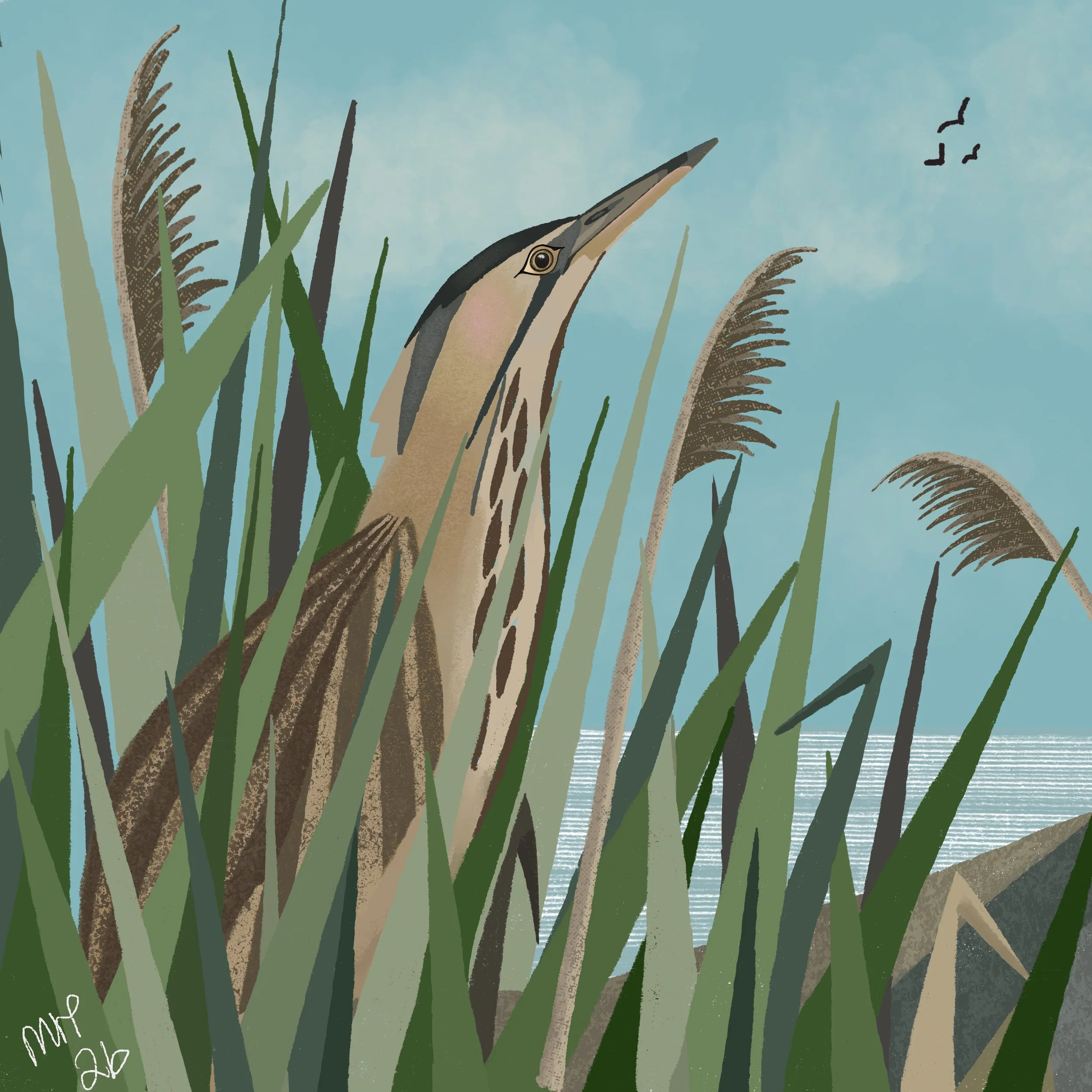 Illustration of a heron standing among tall grasses near a body of water, with a blue sky in the background and three birds flying in the distance.