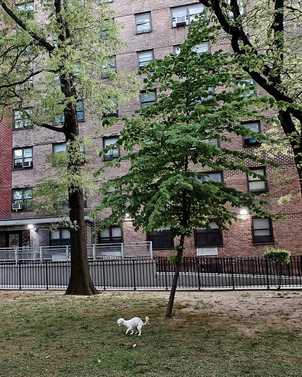 R0241218.jpg