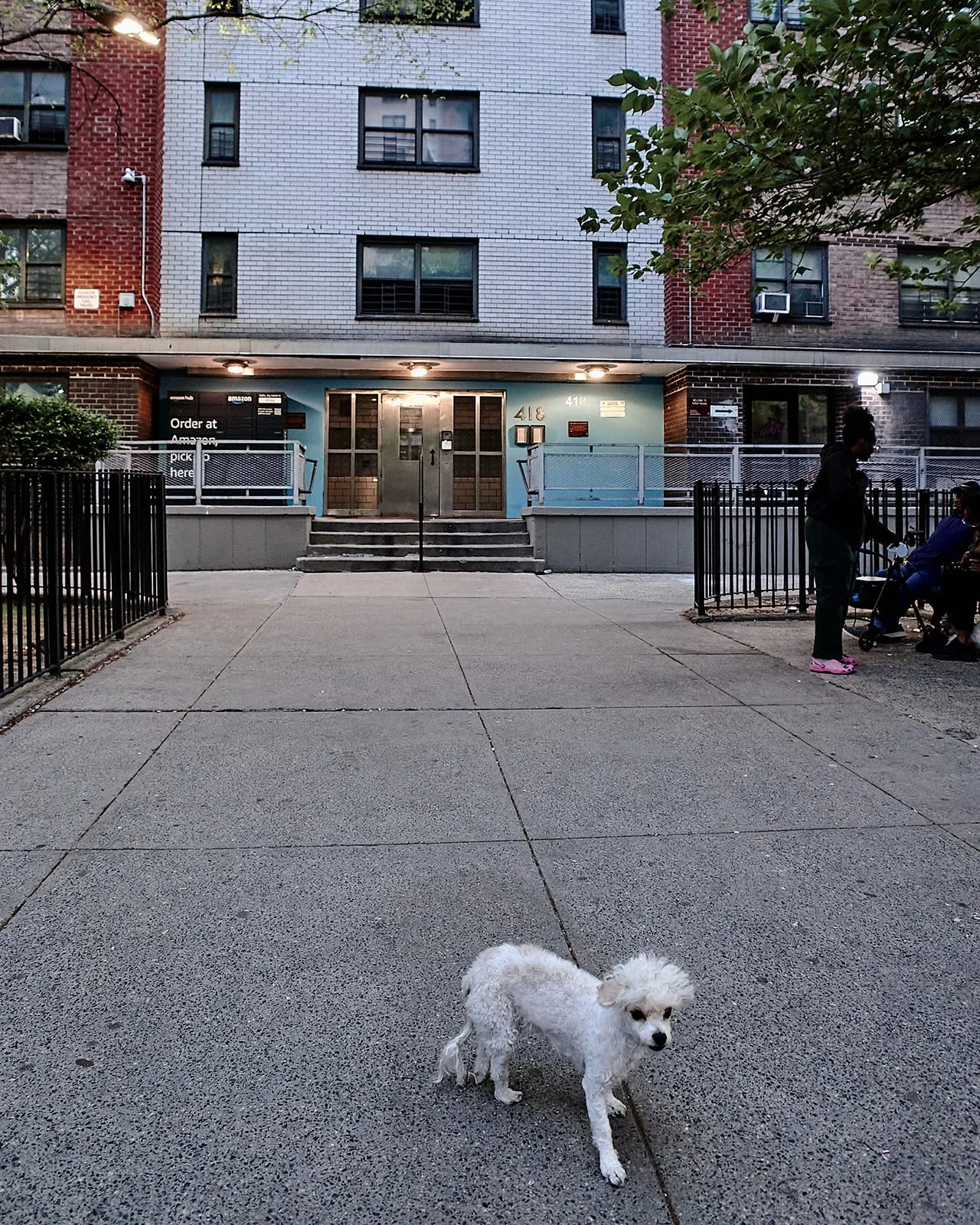 R0241220.jpg