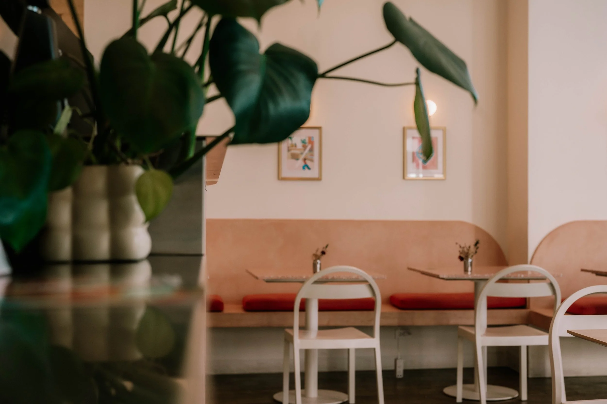 Part of a plant with large green leaves in the foreground, with an interior space of a café or restaurant in the background featuring white chairs, tables, framed artwork, and warm lighting.
