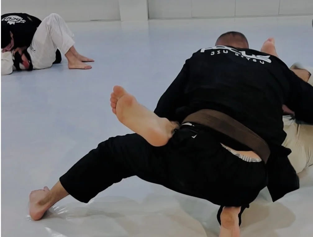 jiu jitsu brésilien