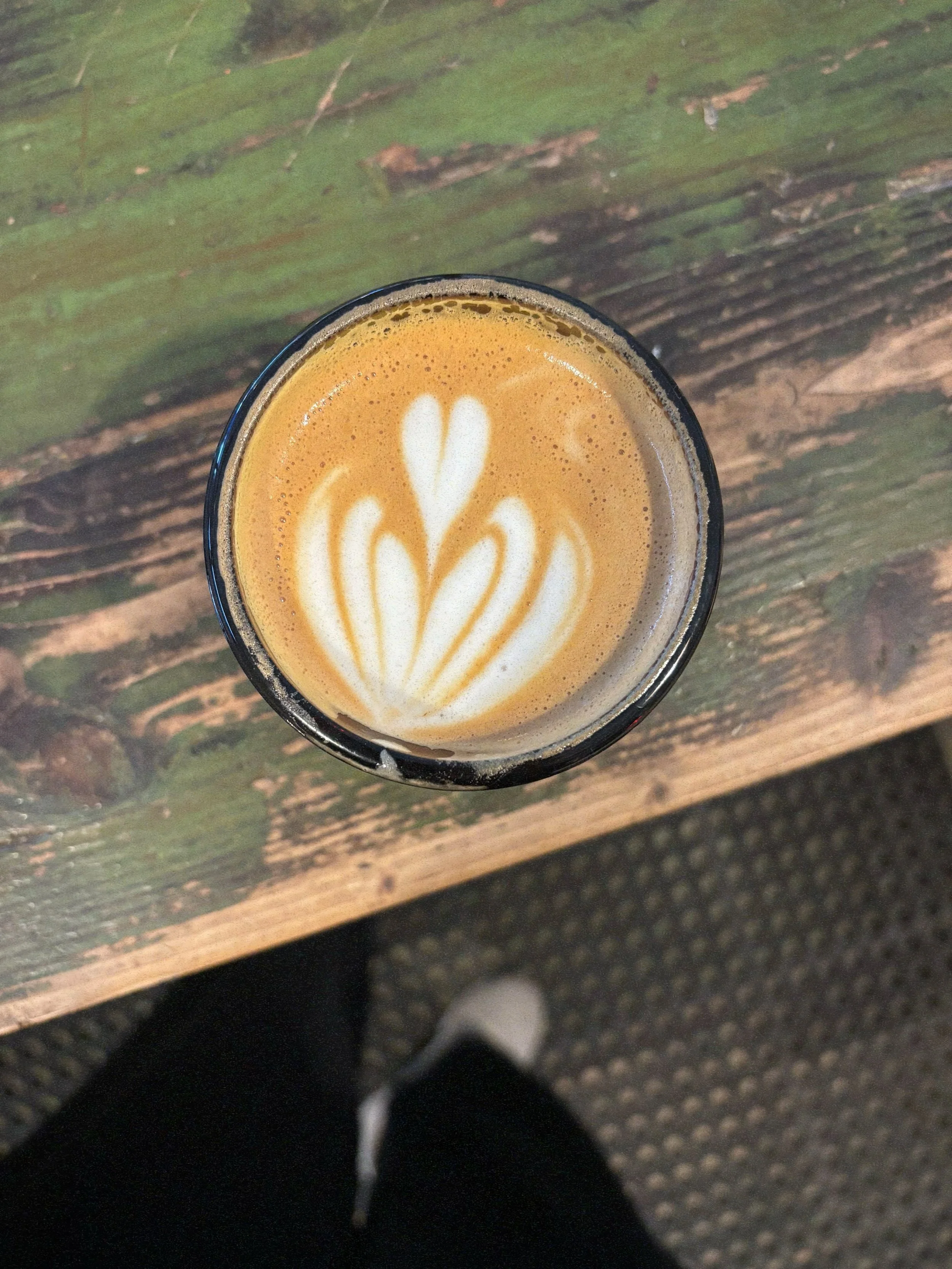 We&rsquo;re softly, not so softly open. This community is incredible and we&rsquo;re grateful to be here. Thank you for filling these four walls, thank you Christian for the propagated plants (up for grabs), thank you for liking @idlehandsroasting co