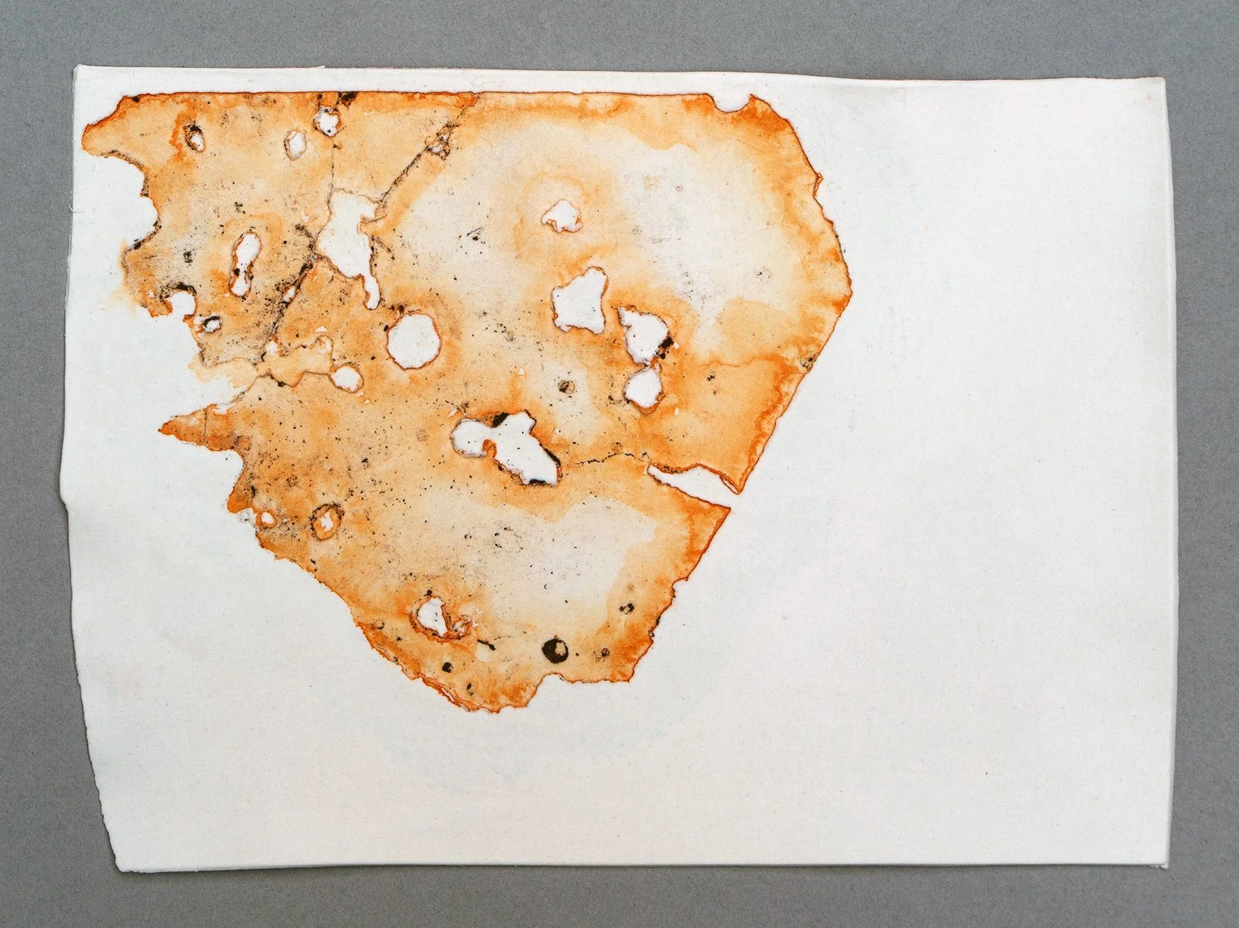 Porcelain map 2a.jpg