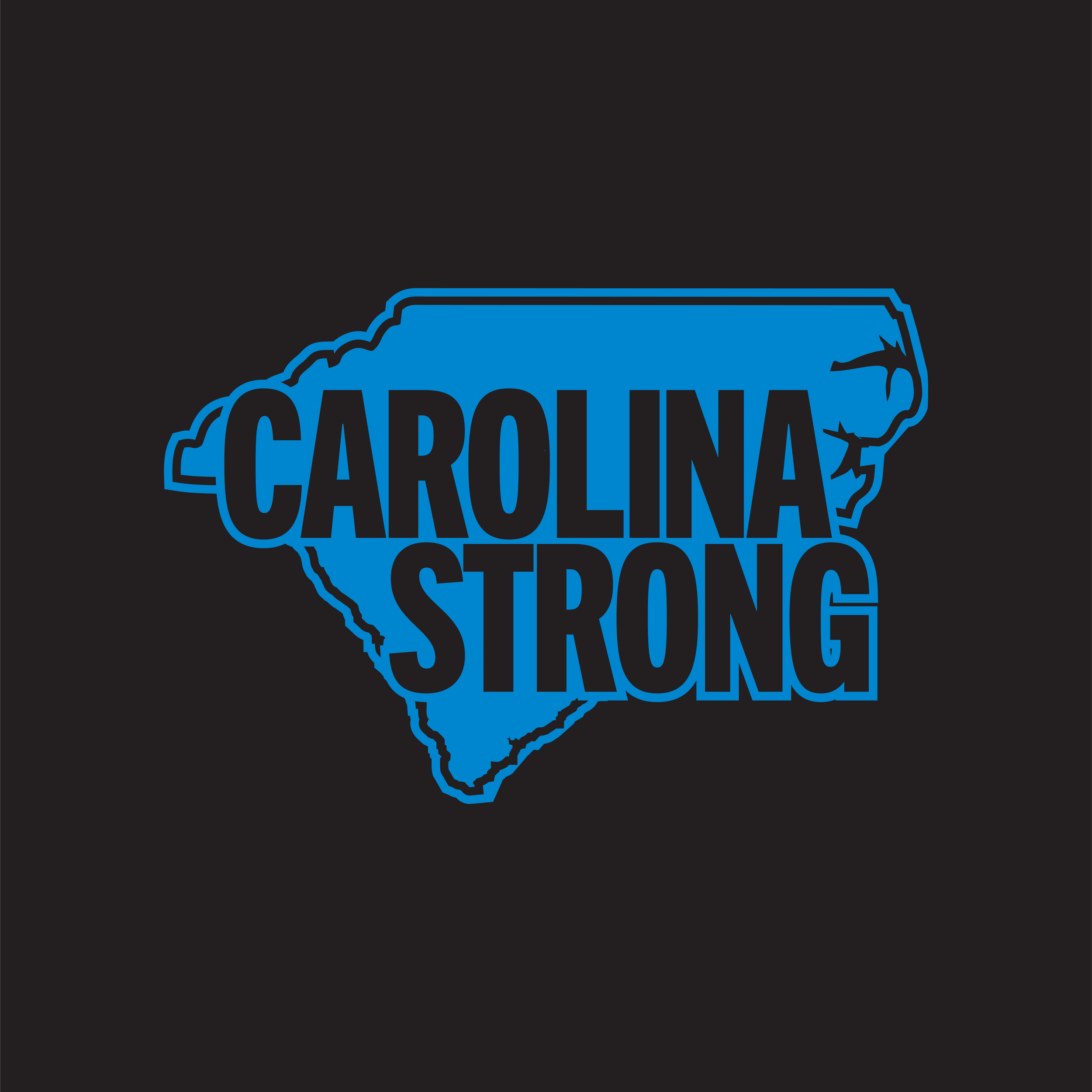KeepPoundingForTheCarolinas-CollarDesign-02.png