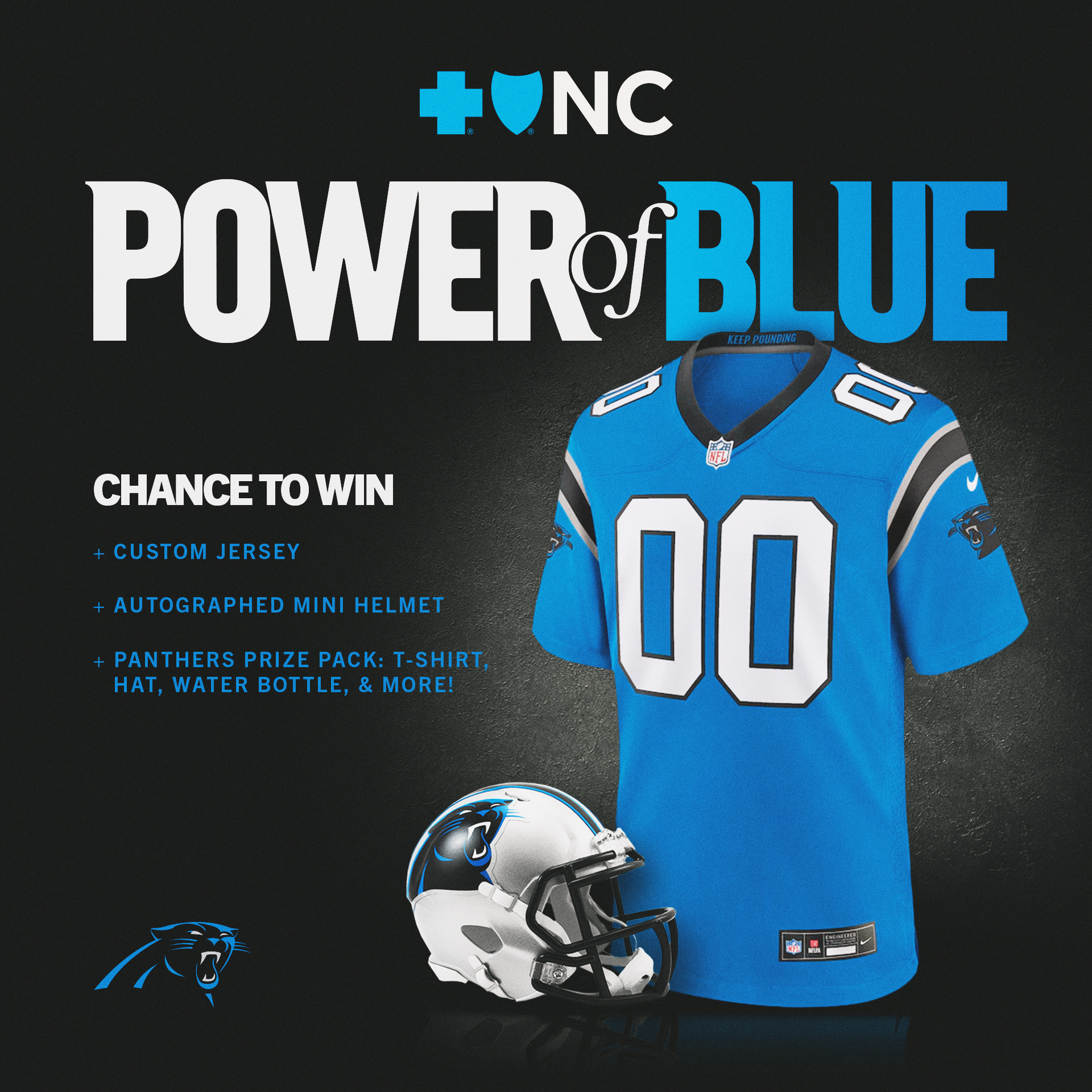 1x1-BCBS-PowerinBlue-Generic.png