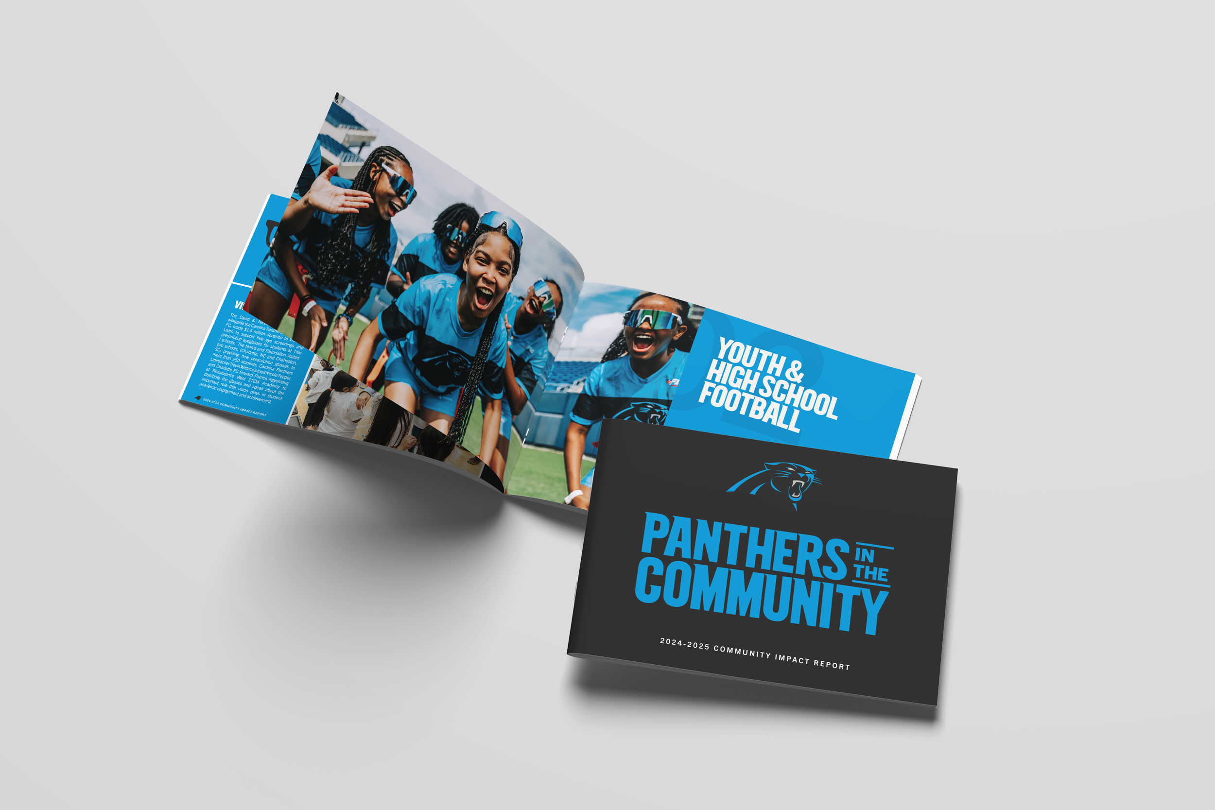 Community Impact Report