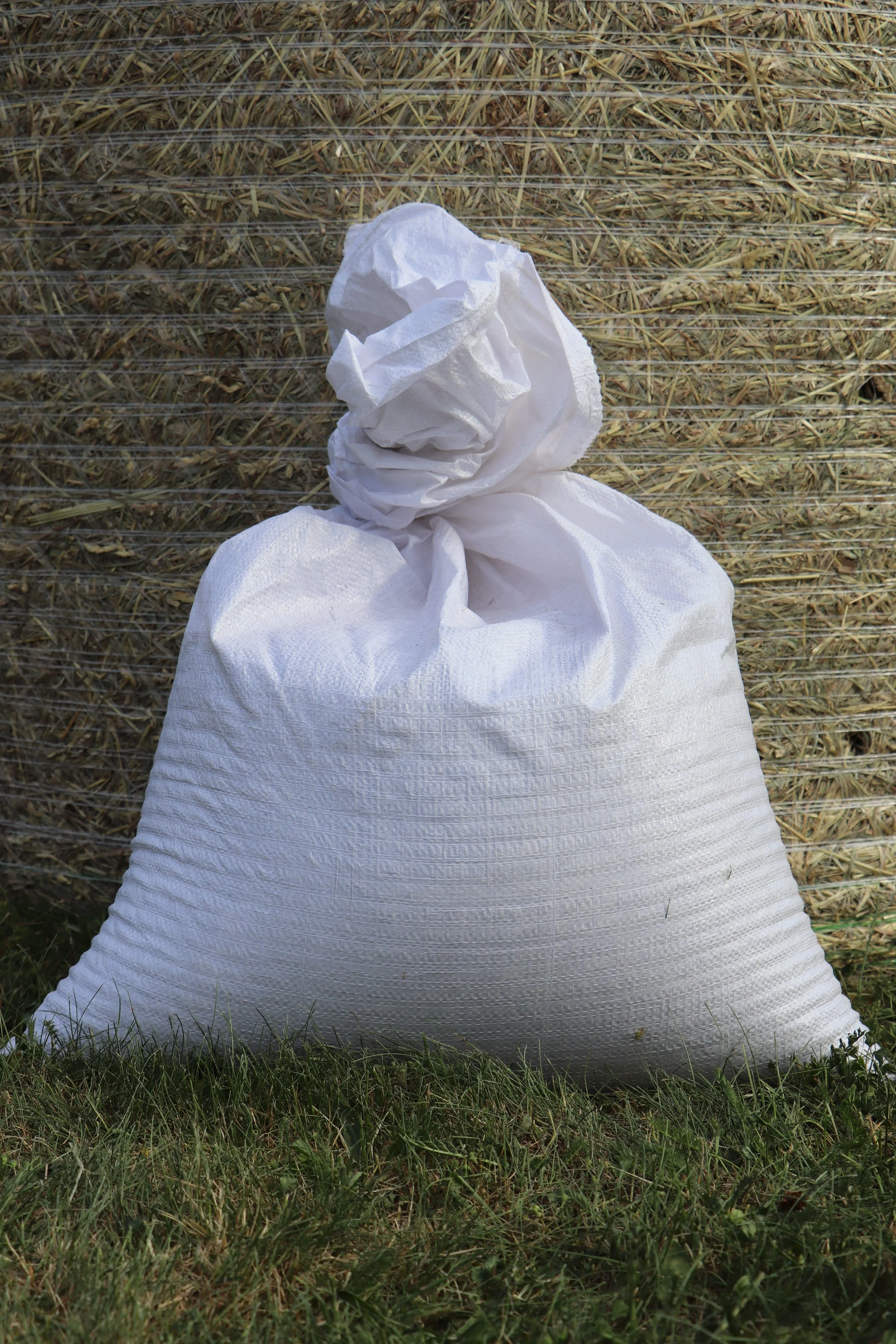 Sac de maïs concassé