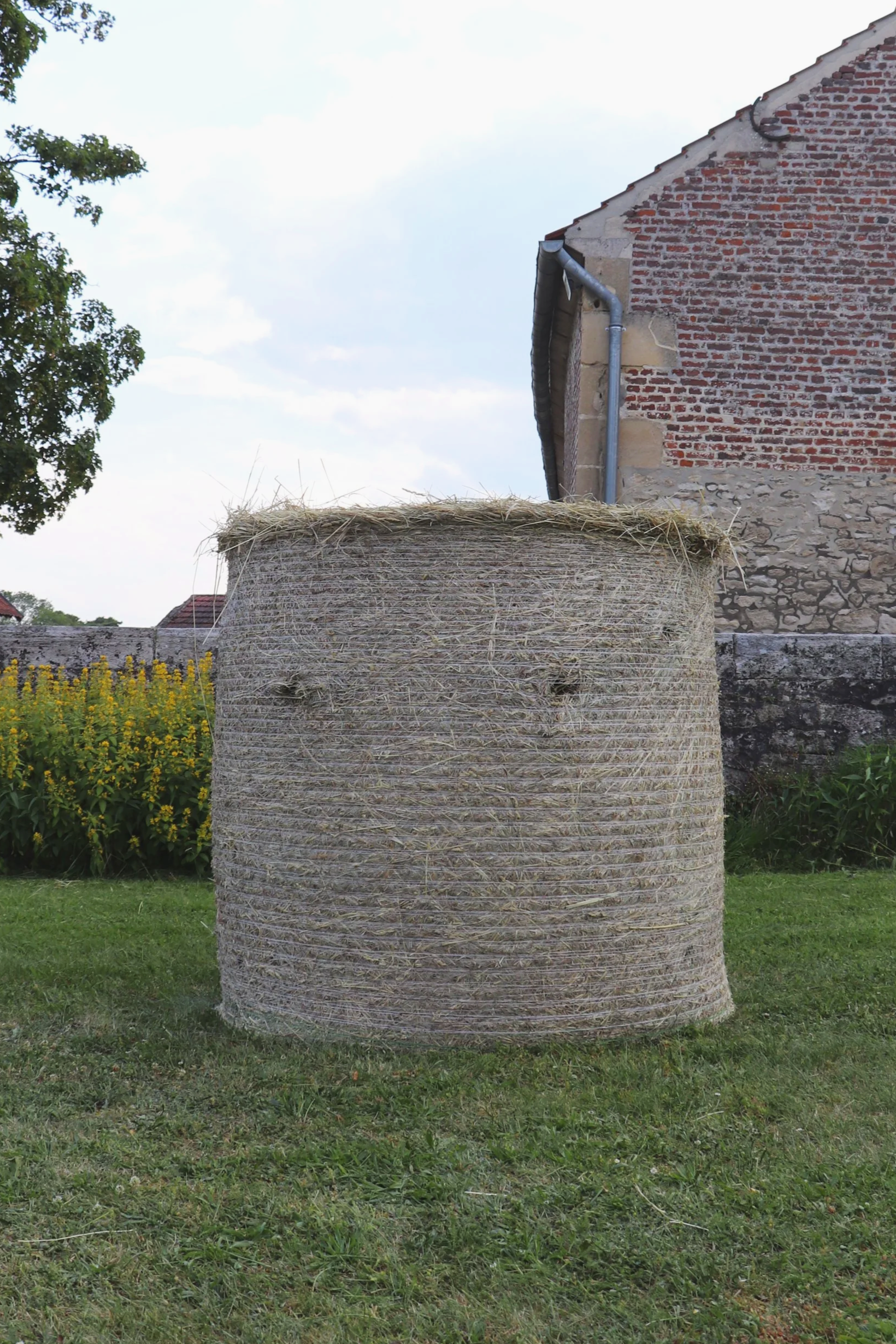 Ballot de foin