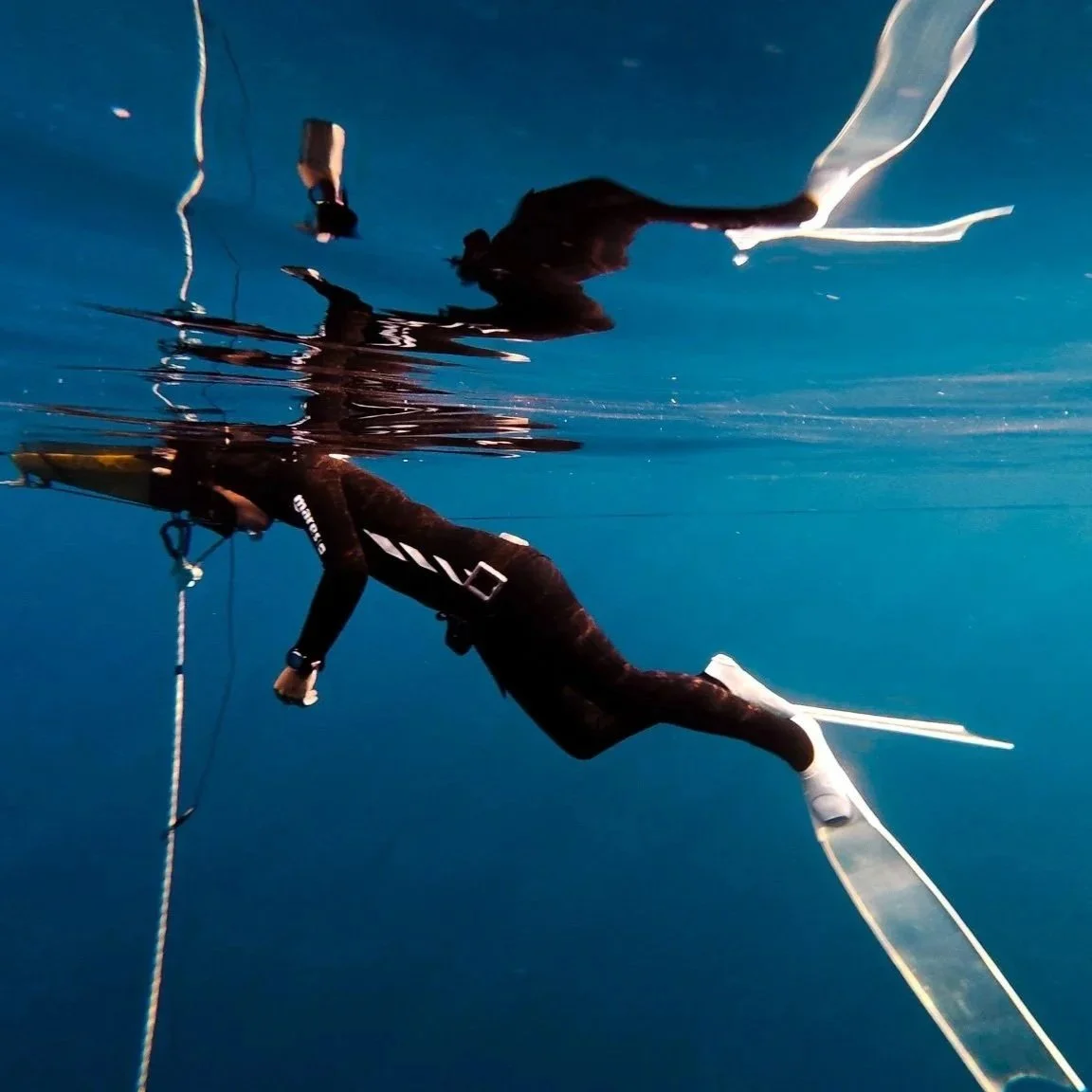 A person wearing a wetsuit, fins, and a snorkel is swimming underwater, holding onto a rope with a buoy or marker attached.