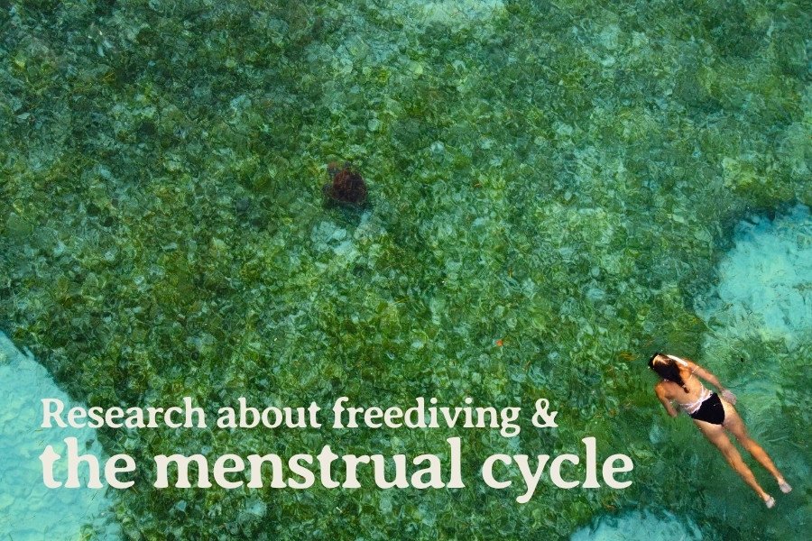 Menstrual cycle &amp; freediving awareness guide