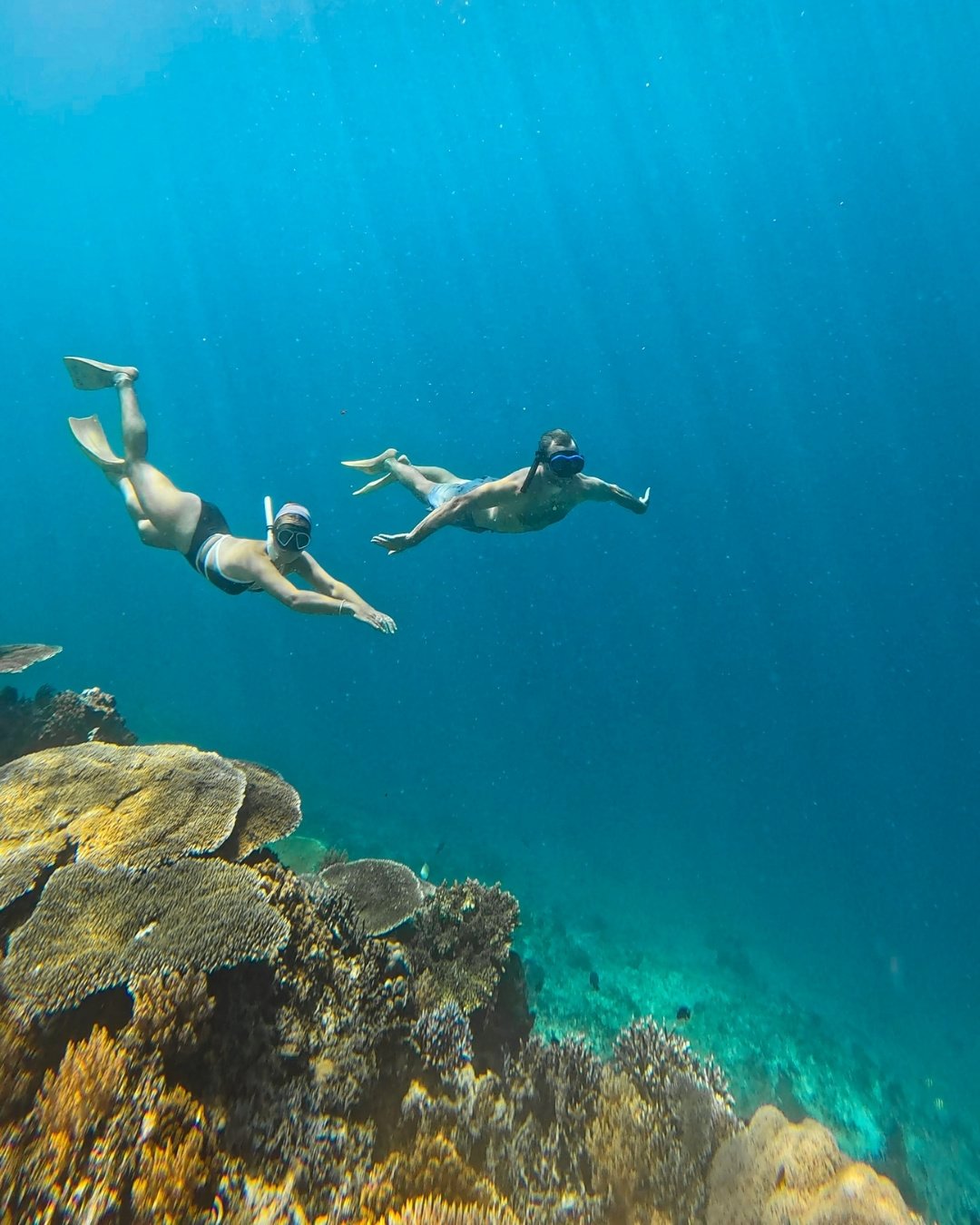 Two people freediving above a coral reef in clear blue water.