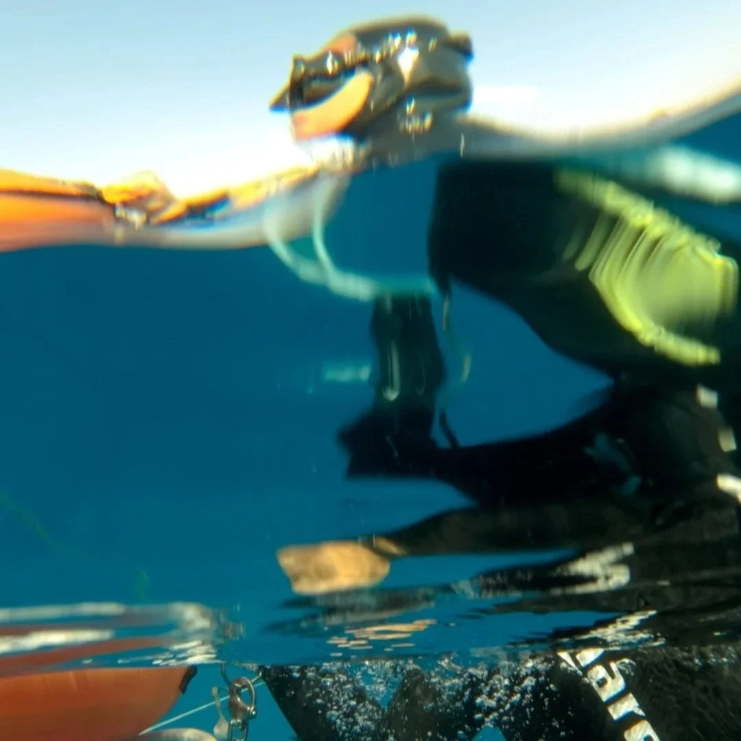 An underwater shot of a diver wearing a snorkel mask and fins, with sunlight and water above.
